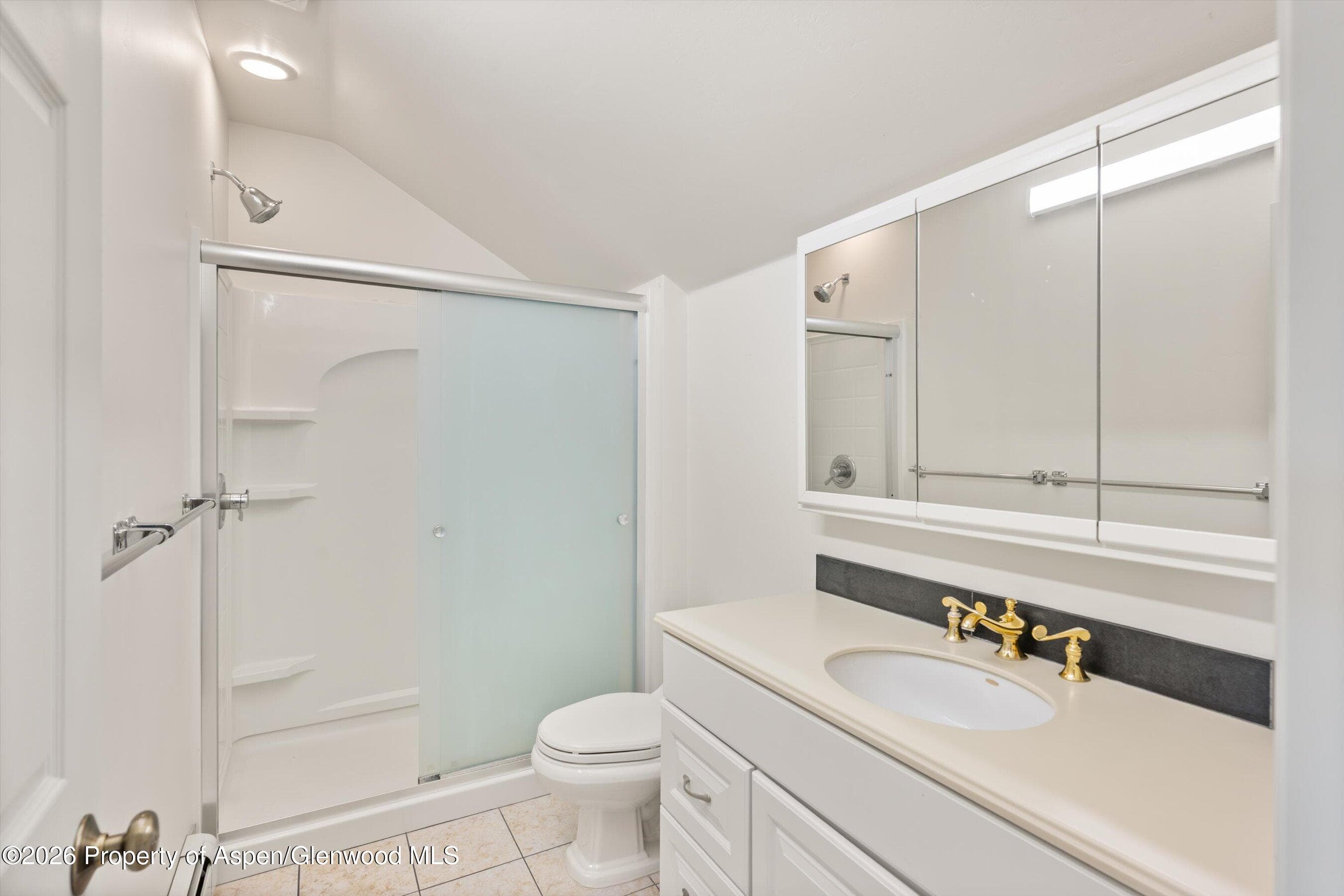 51 County Road 165, Carbondale, CO 81623 - Photo 47