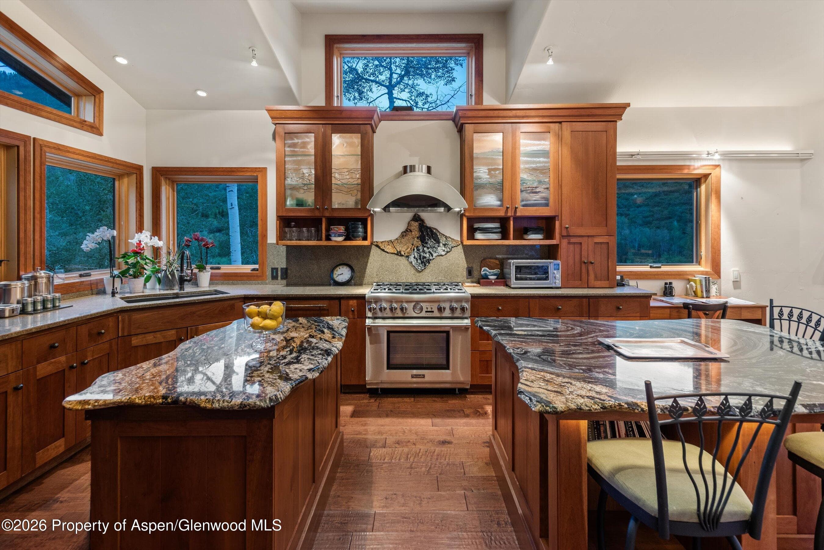 335 Hall Drive, Aspen, CO 81611 - Photo 14