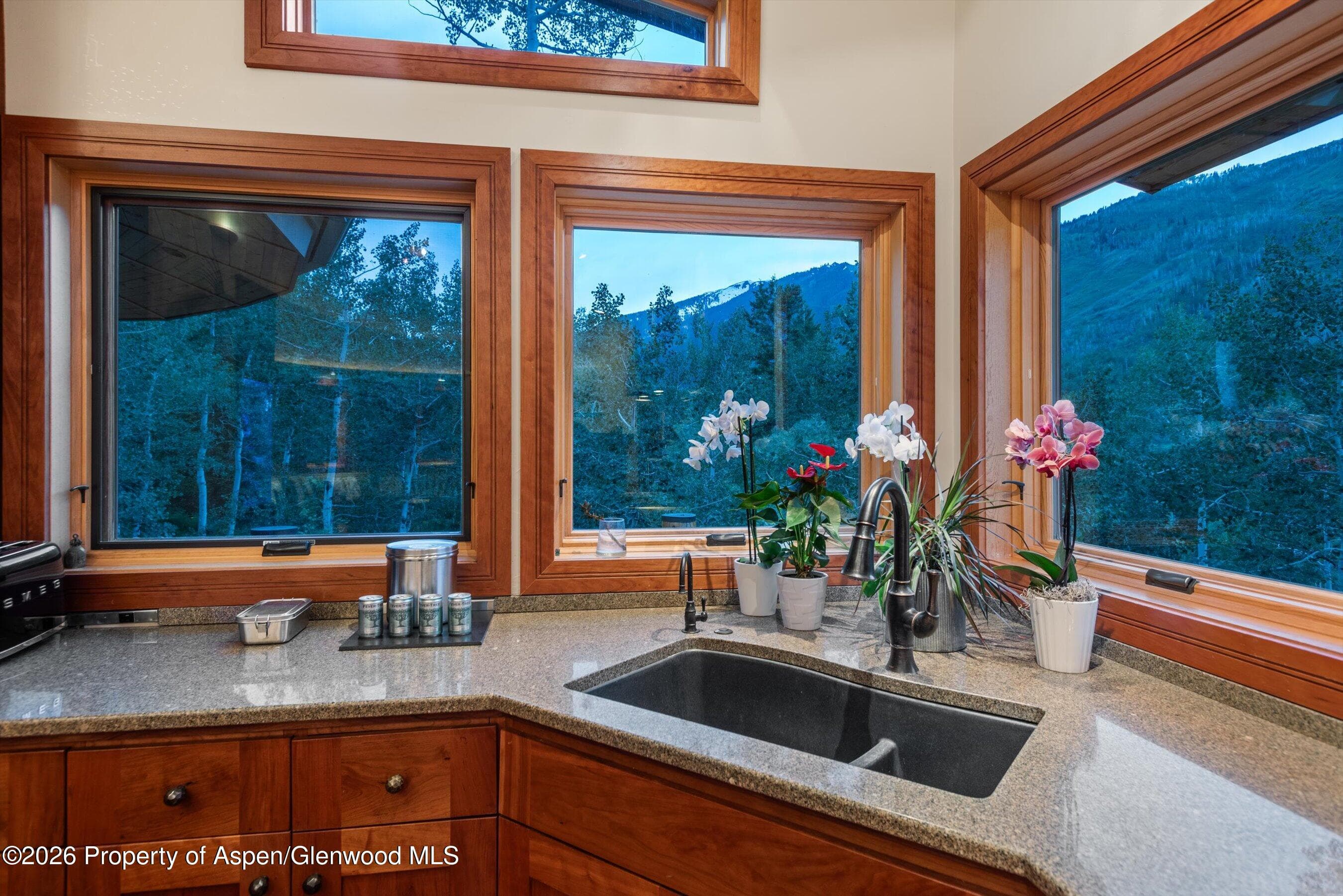 335 Hall Drive, Aspen, CO 81611 - Photo 17