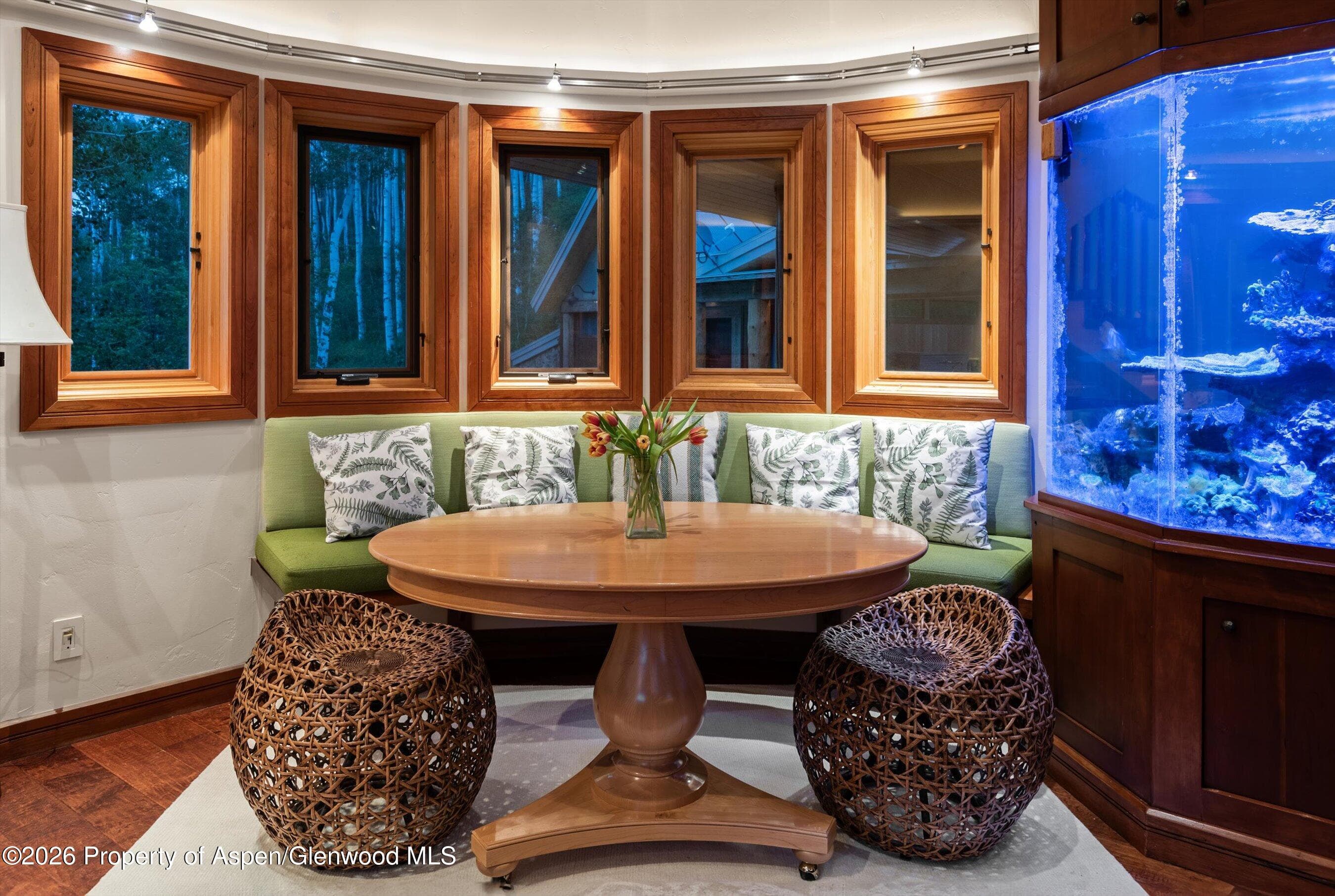335 Hall Drive, Aspen, CO 81611 - Photo 25