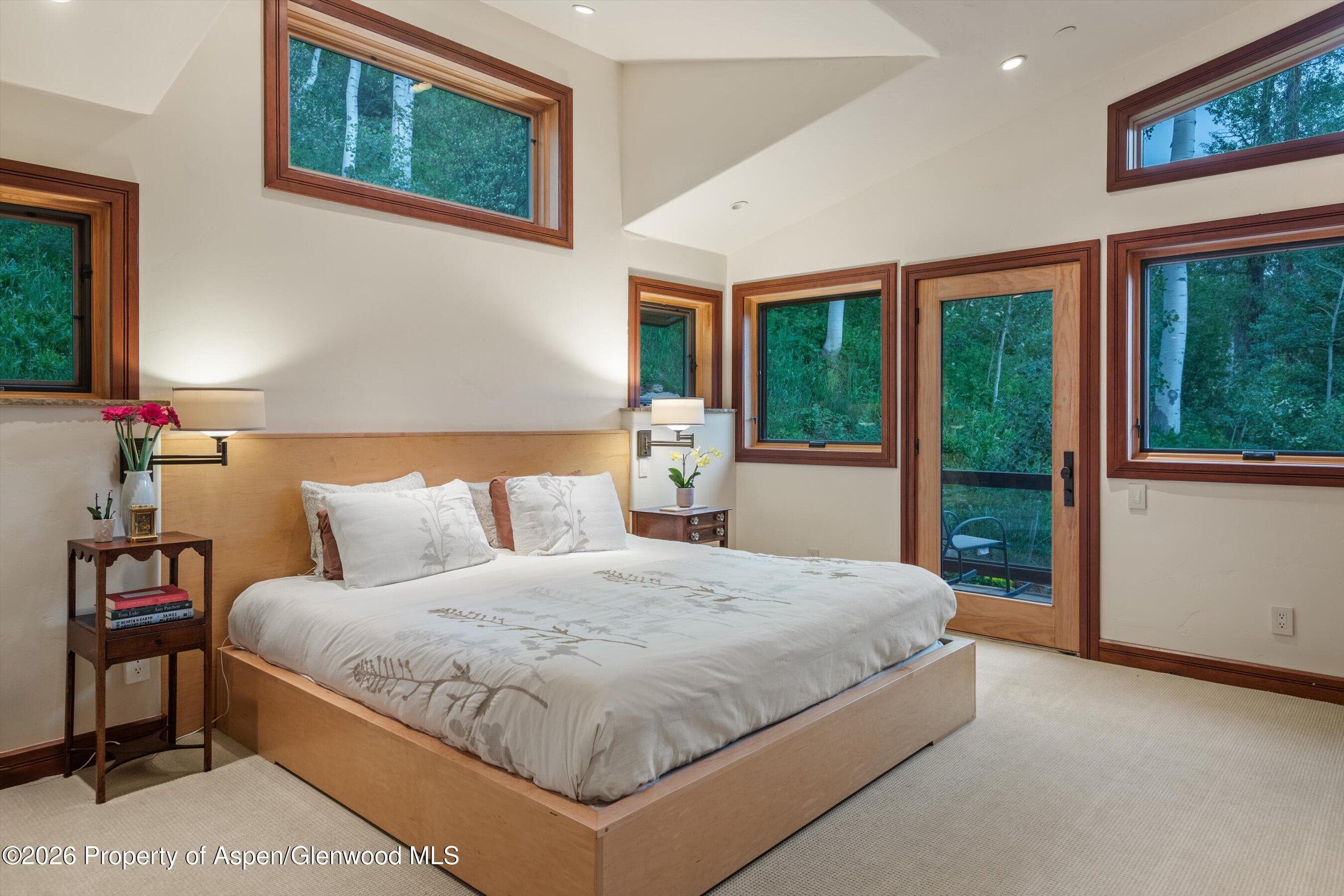 335 Hall Drive, Aspen, CO 81611 - Photo 28