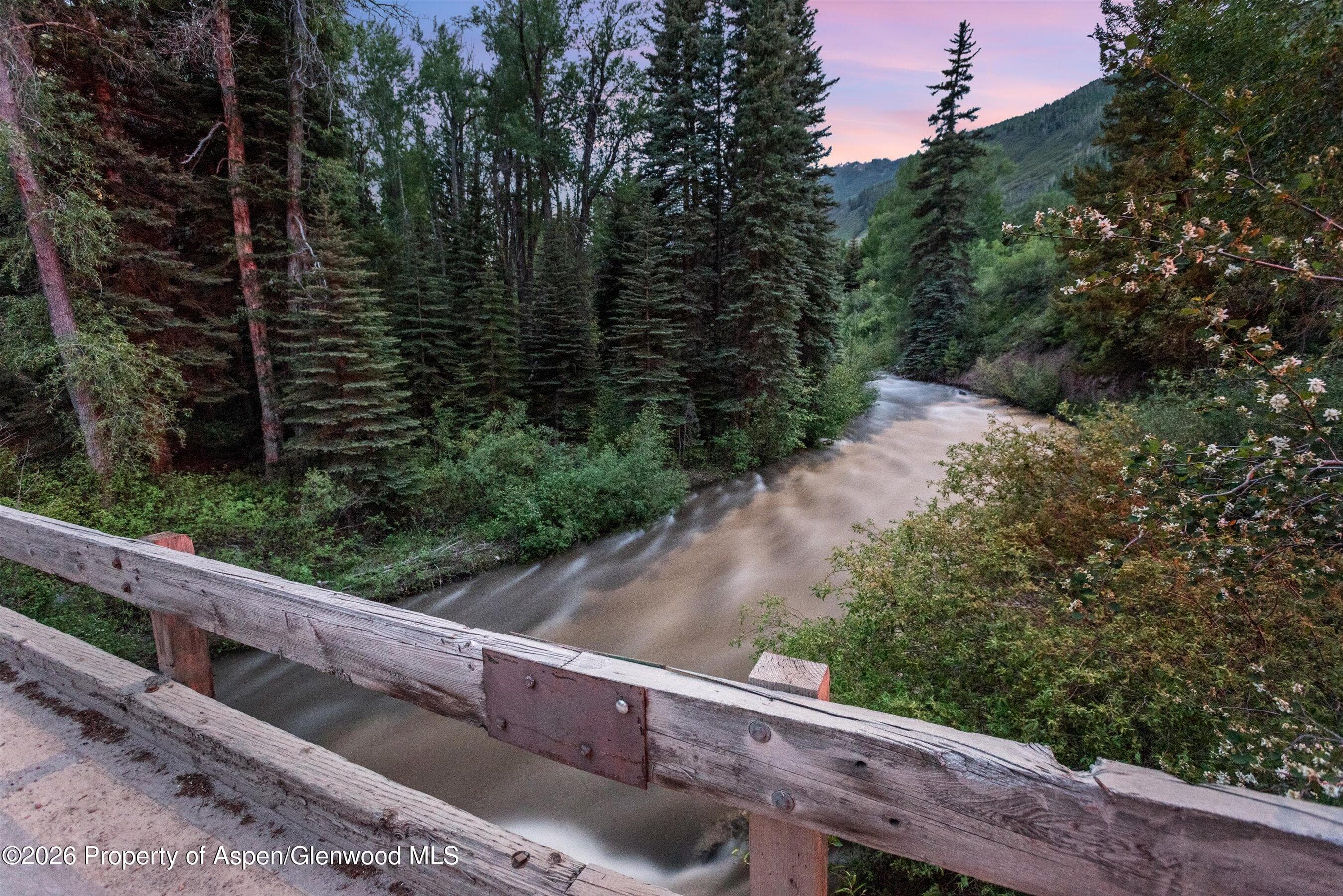 335 Hall Drive, Aspen, CO 81611 - Photo 9