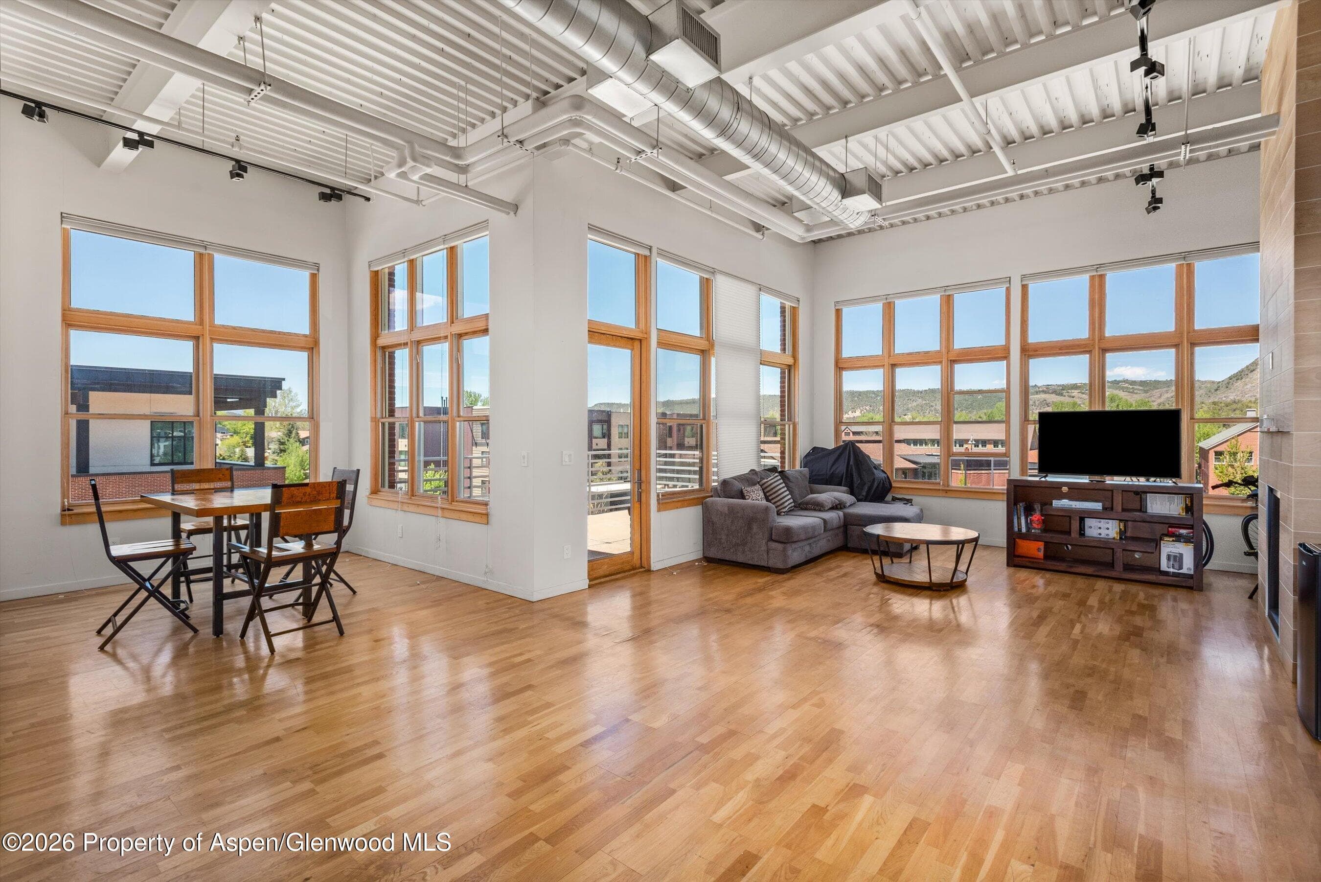 231 Robinson Street 312, Basalt, CO 81621 - Photo 4