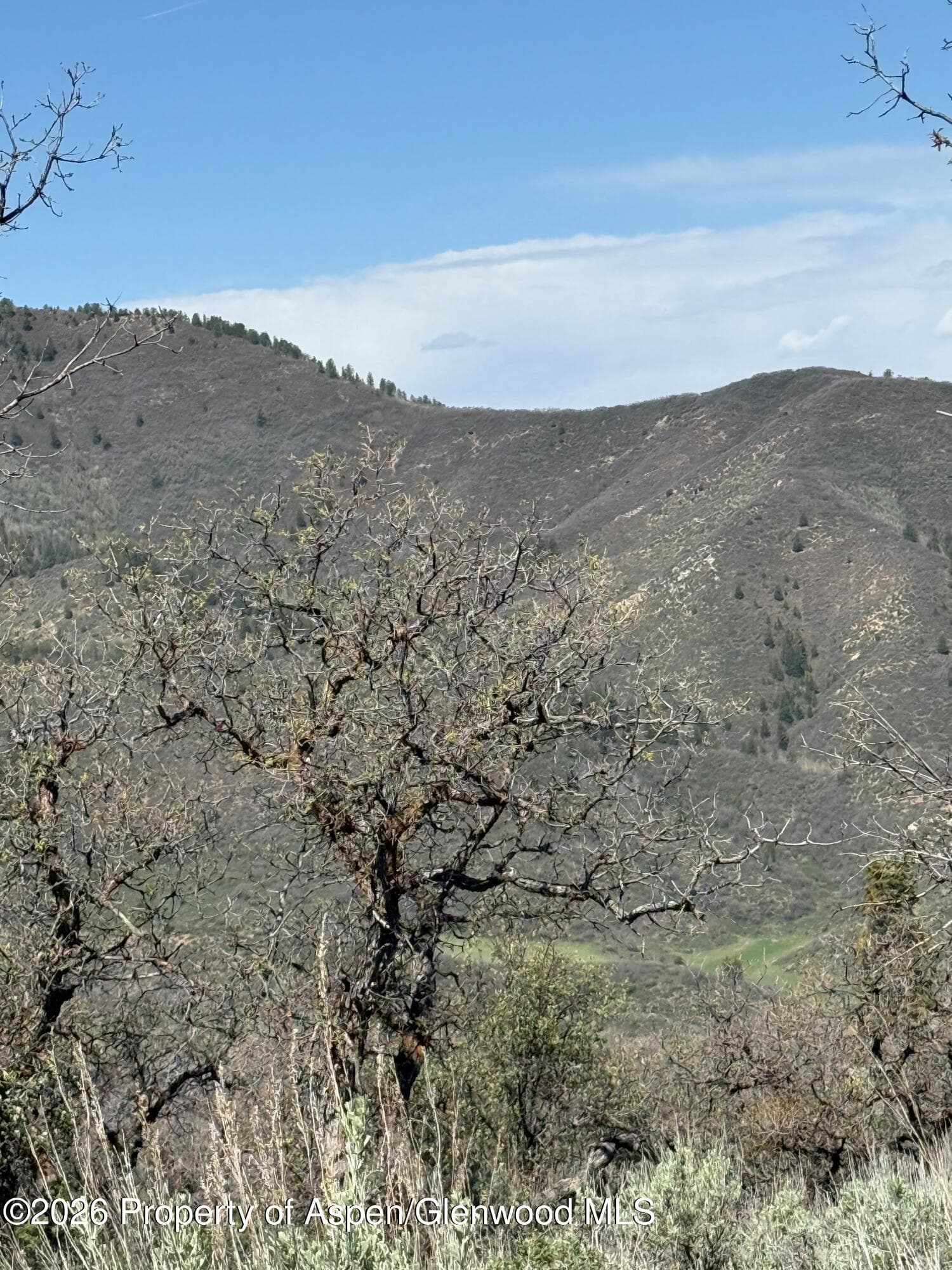 00 South Fork Road, Rifle, CO 81650 - Photo 9