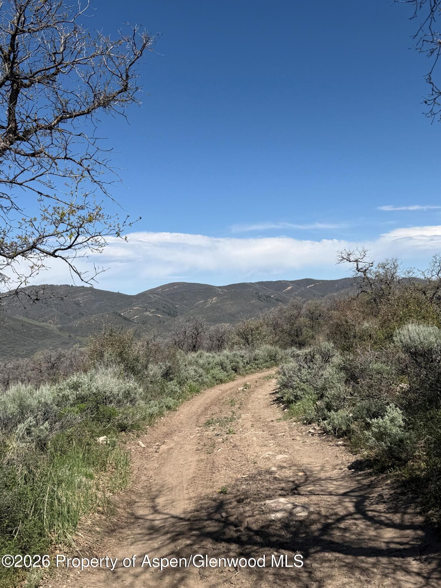 00 South Fork Road, Rifle, CO 81650 - Photo 3