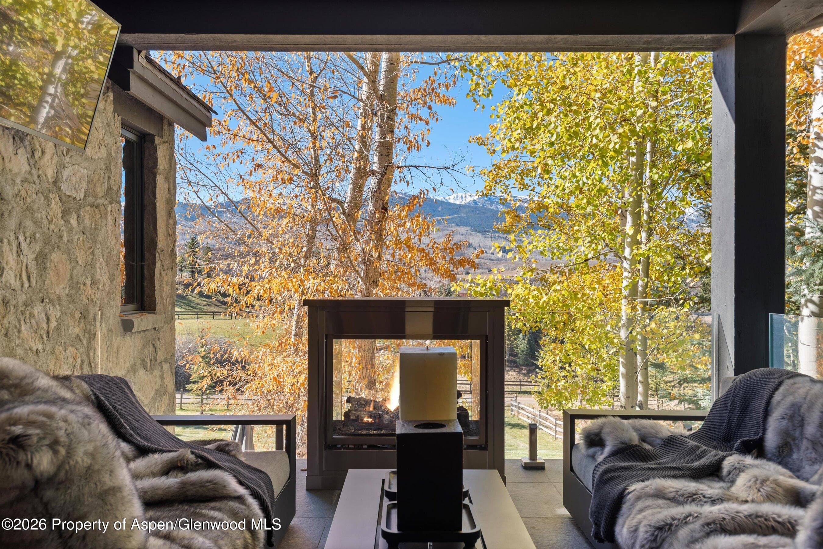 75 Mclain Court, Aspen, CO 81611 - Photo 33