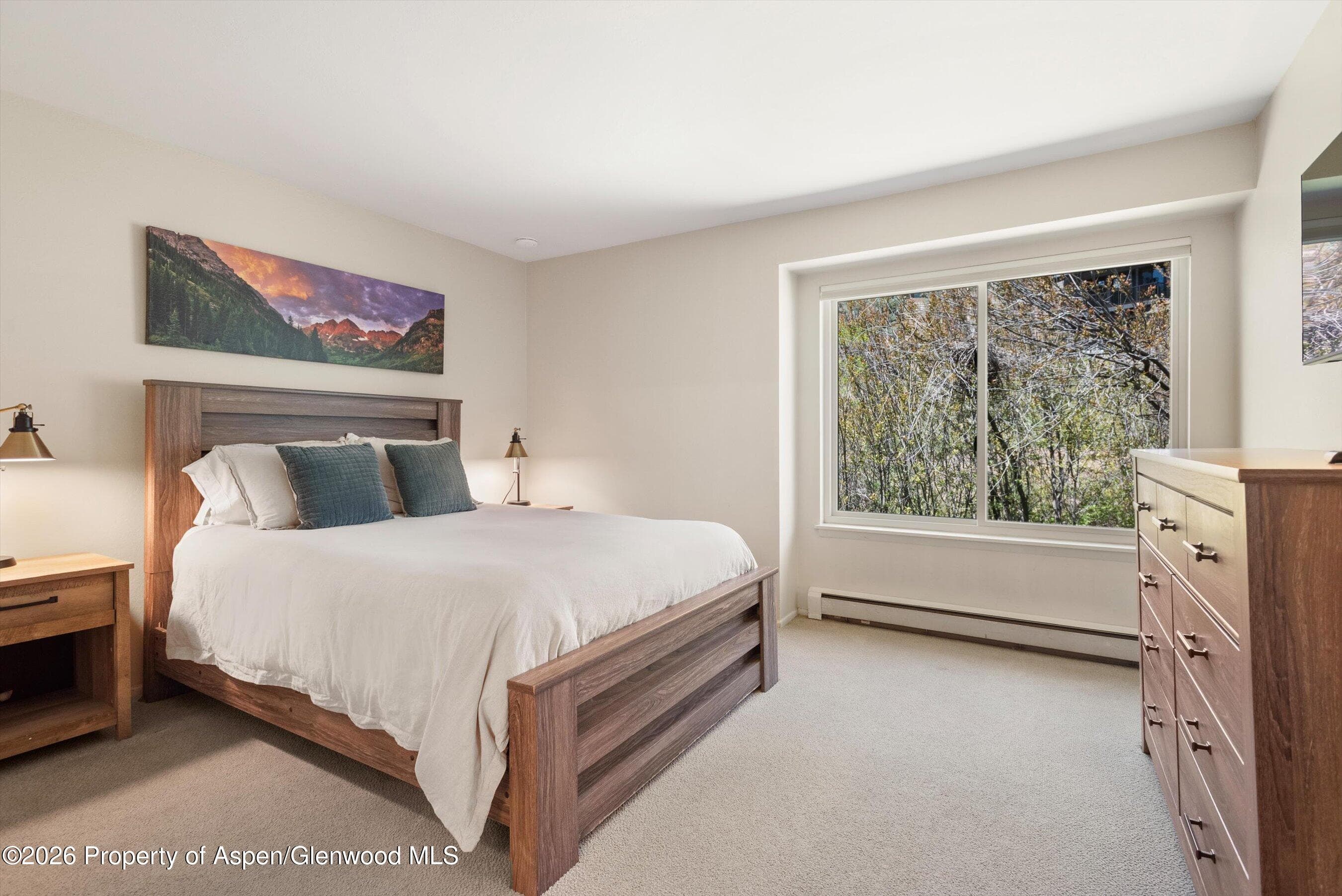35 Lower Woodbridge Road 174, Snowmass Village, CO 81615 - Photo 14