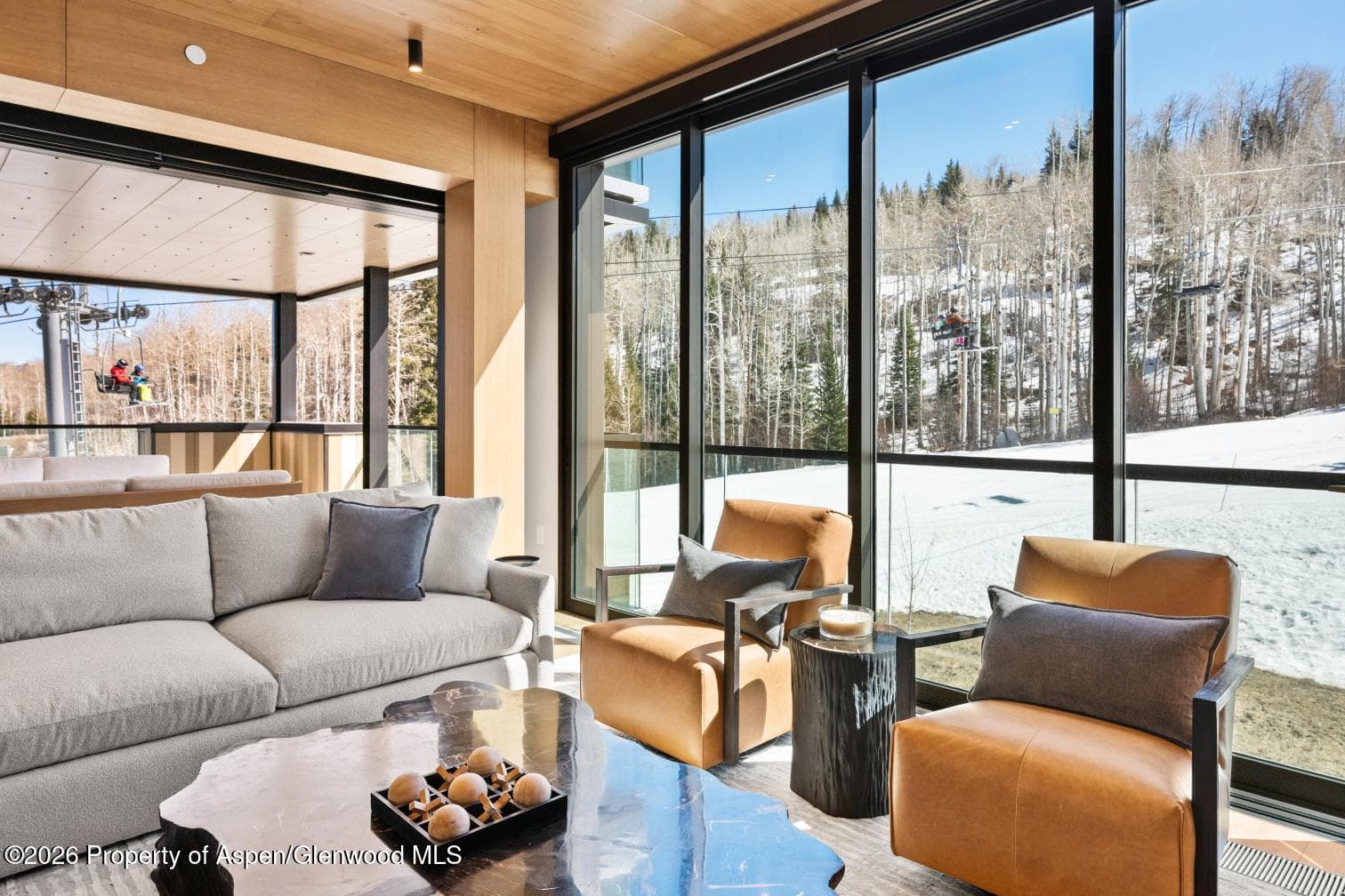 180 Wood Road 402, Snowmass Village, CO 81615 - Photo 20
