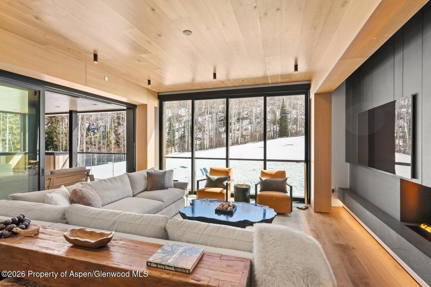 180 Wood Road 402, Snowmass Village, CO 81615 - Photo 12