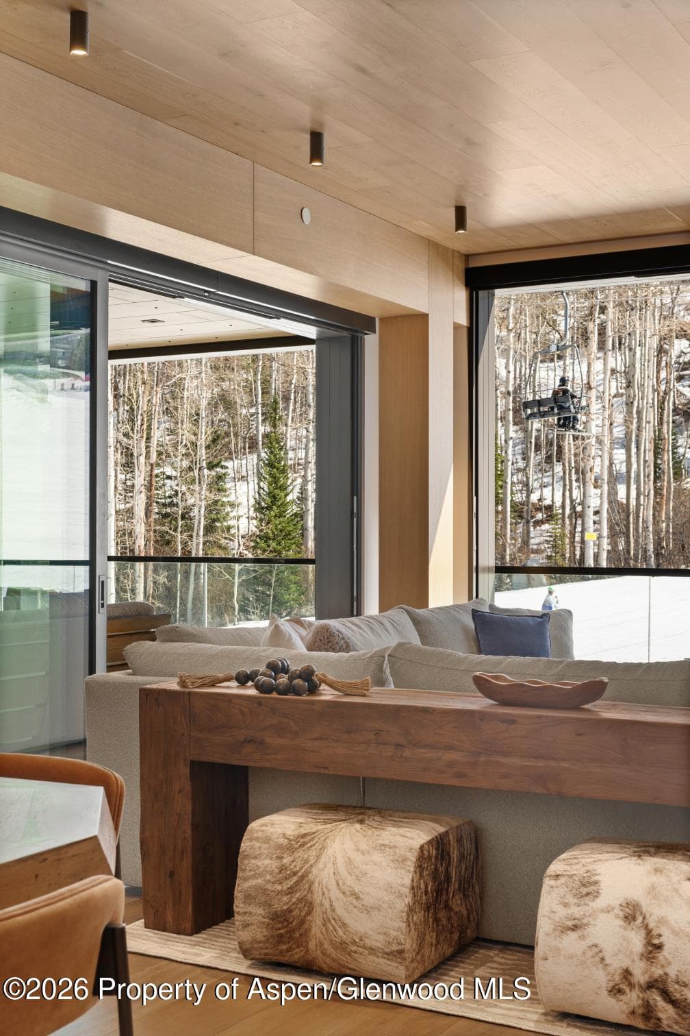 180 Wood Road 402, Snowmass Village, CO 81615 - Photo 47