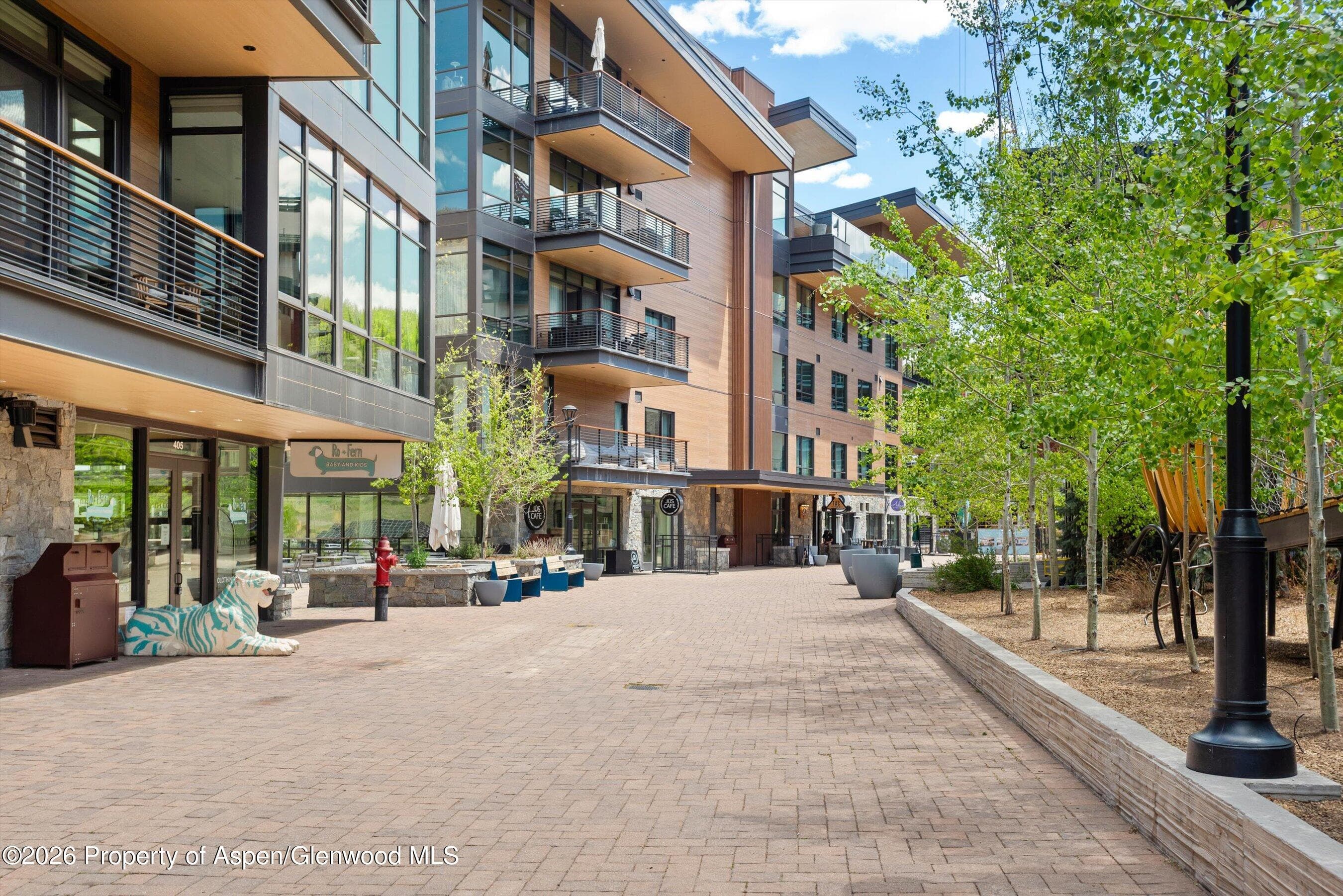 77 Wood Road 501 East, Snowmass Village, CO 81615 - Photo 37