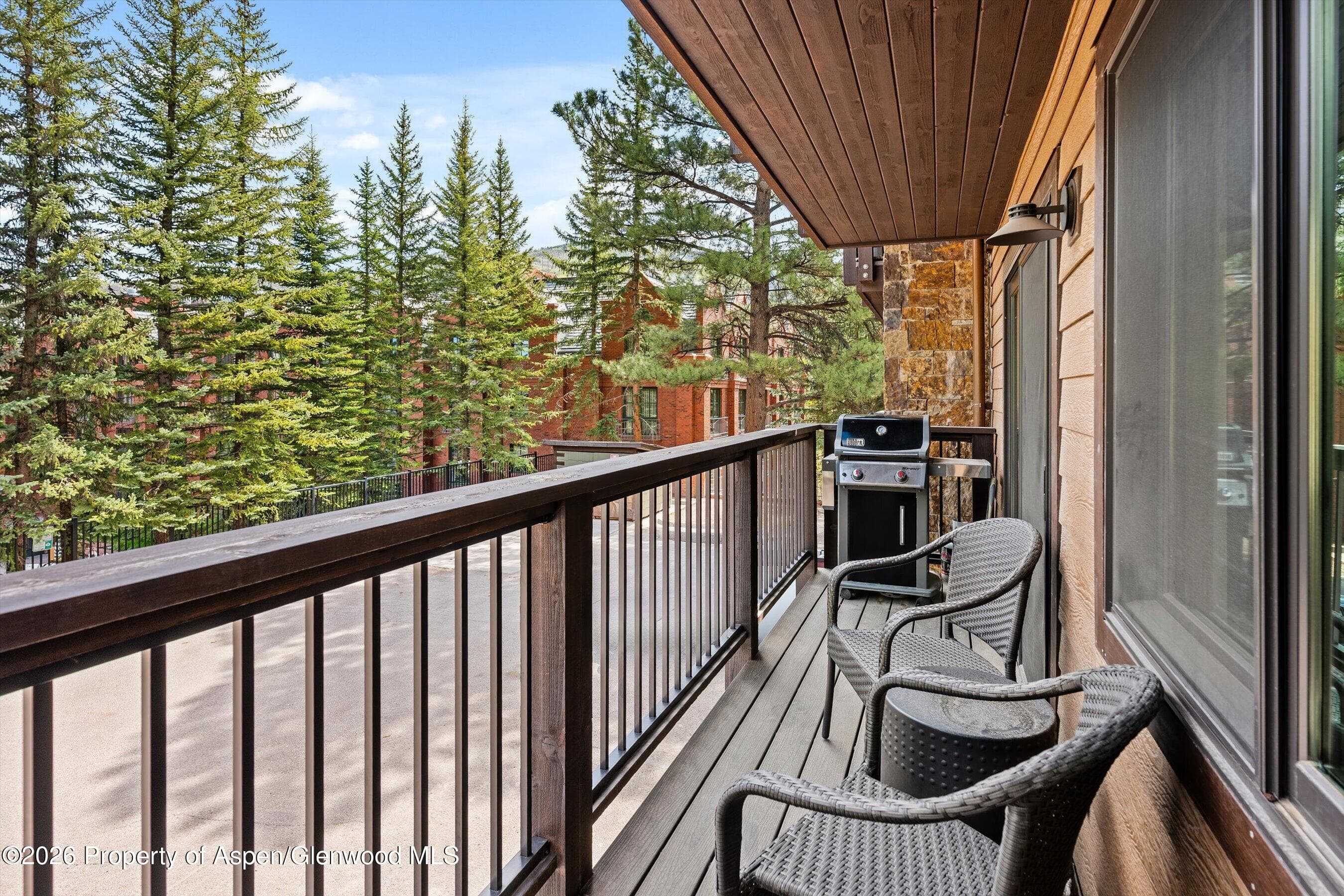 650 S Monarch Street 7, Aspen, CO 81611 - Photo 6