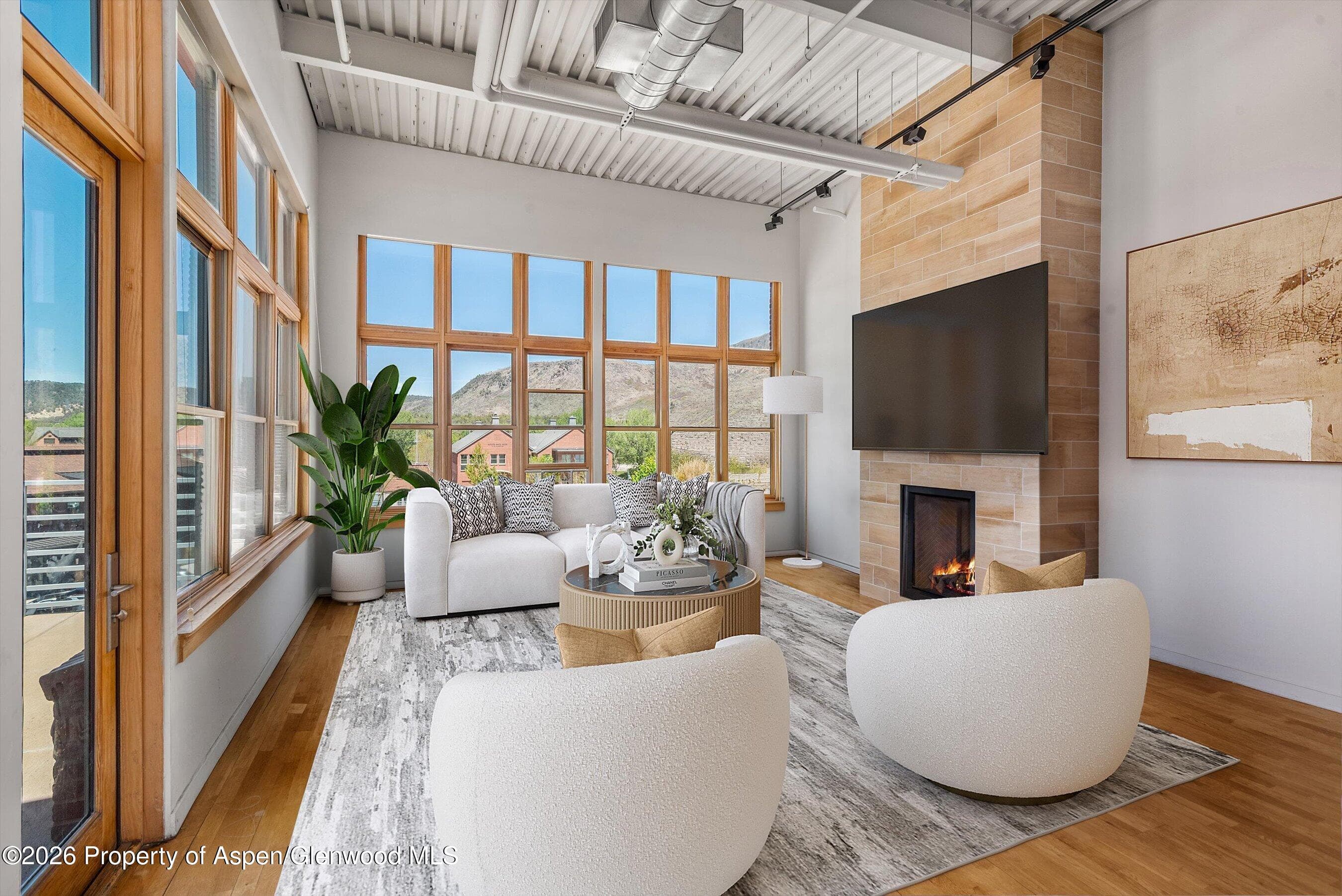 231 Robinson Street 312, Basalt, CO 81621 - Photo 3