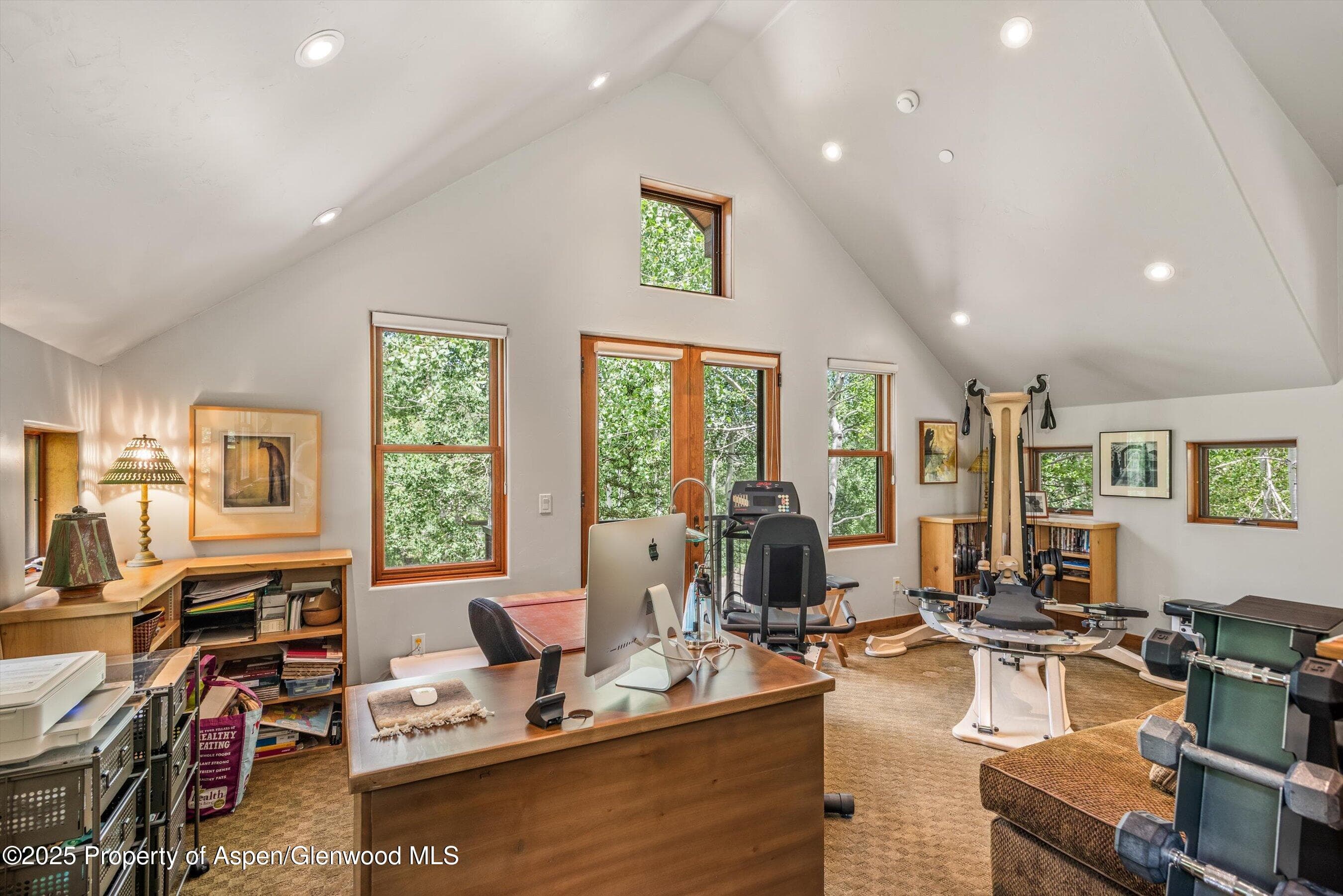 477 Aspen Oak Drive, Aspen, CO 81611 - Photo 40