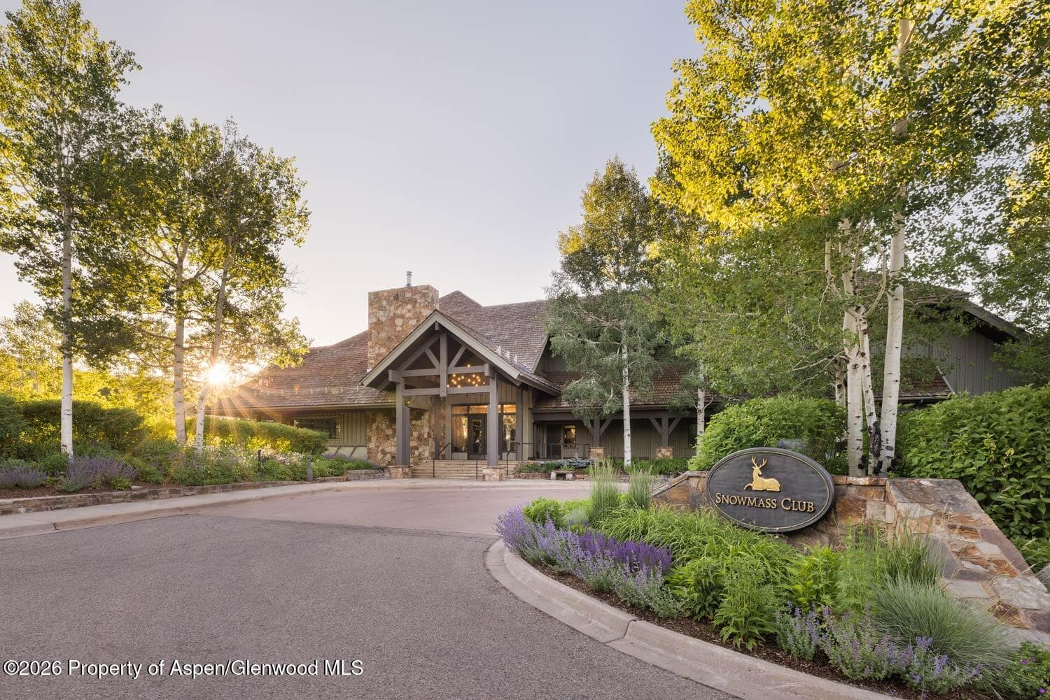 134 Snowmass Club Circle 140, Snowmass Village, CO 81615 - Photo 5