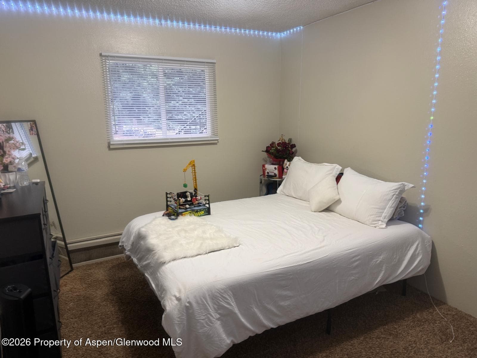 51519 1 Hwy 6 C-43, Glenwood Springs, CO 81623 - Photo 8