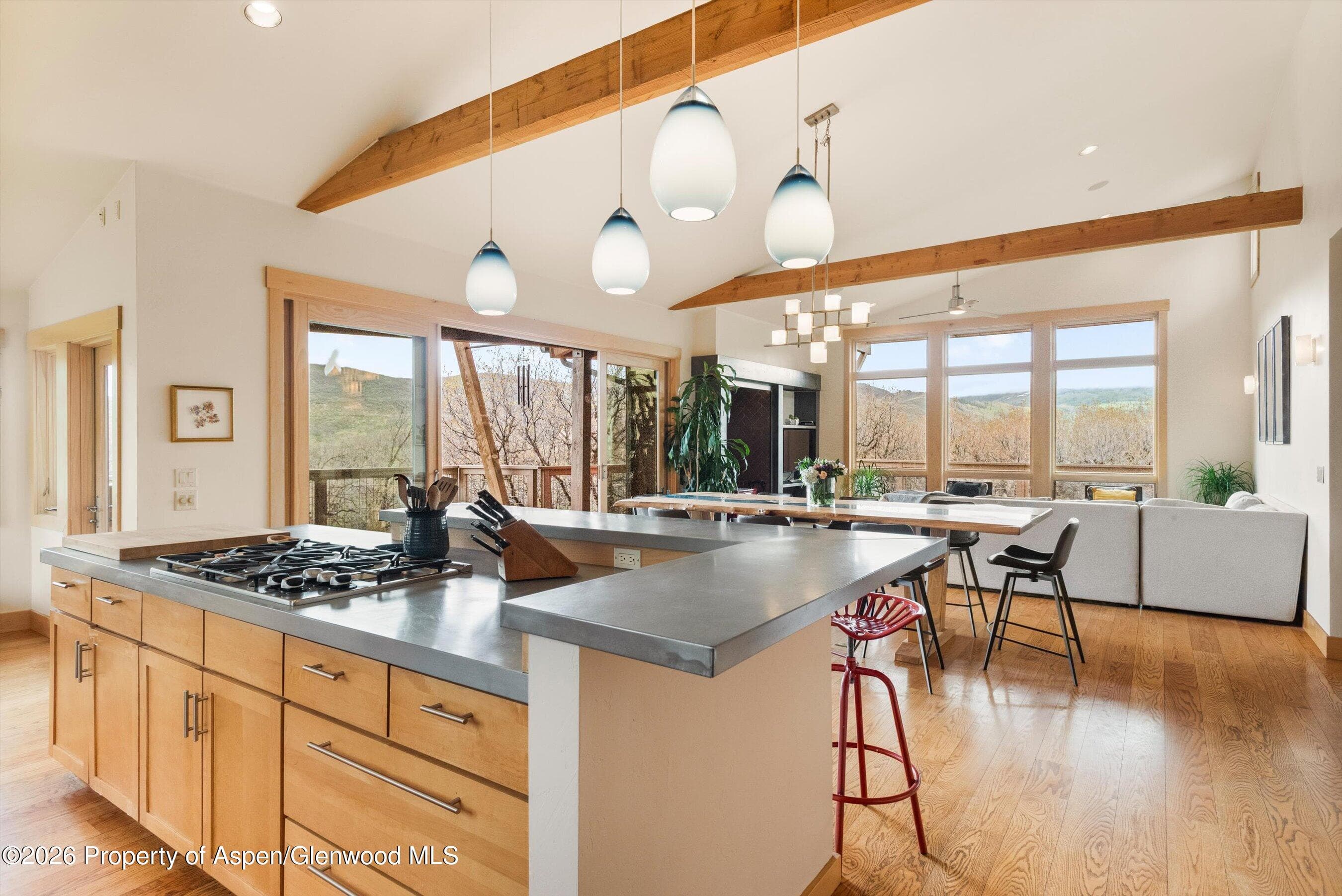 707 Shield O Road, Snowmass, CO 81654 - Photo 12