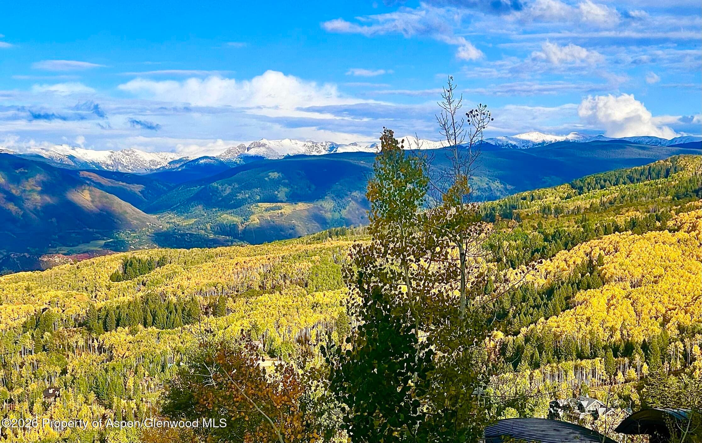 1592 Faraway Road, Snowmass Village, CO 81615 - Photo 50