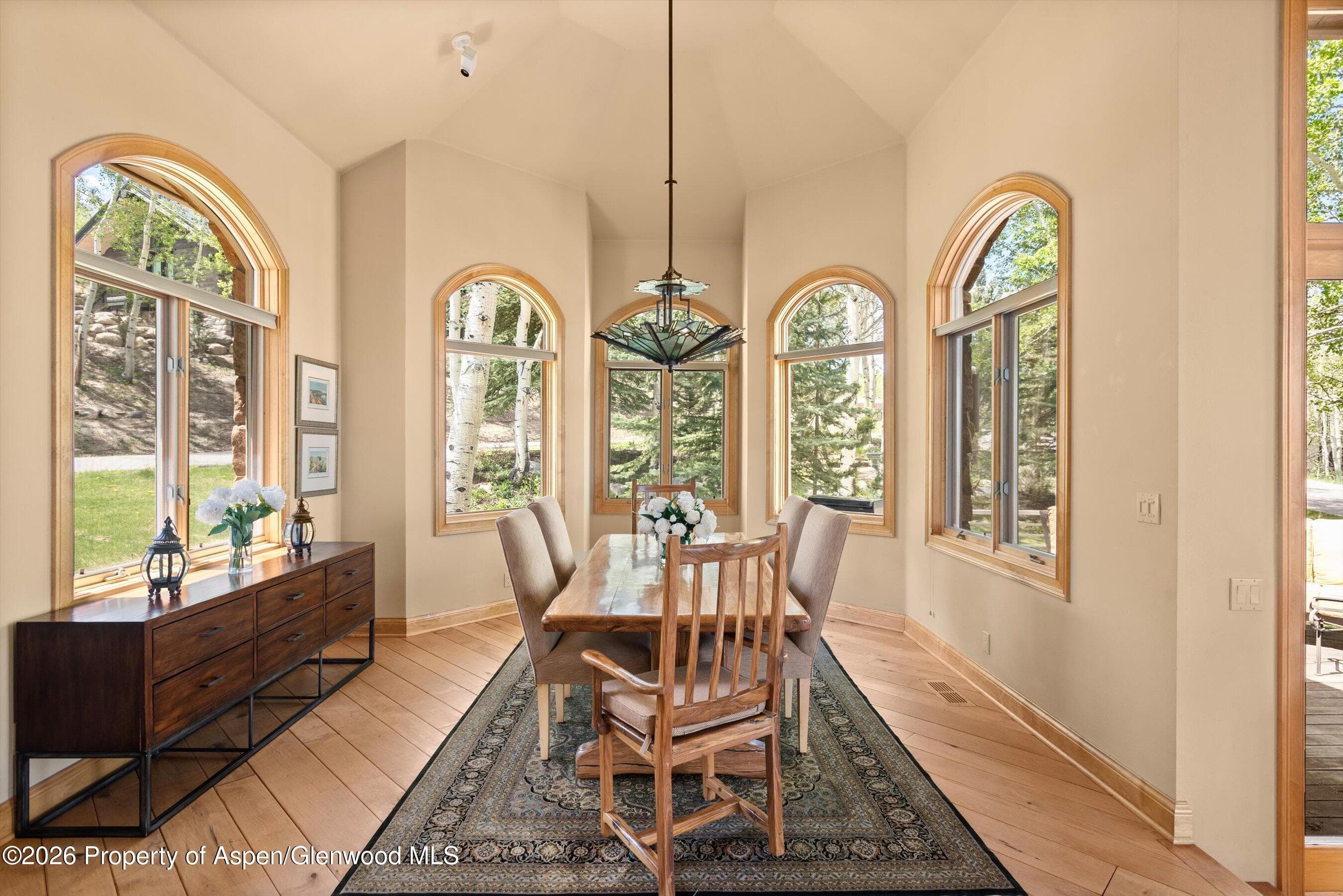221 Stellar Lane, Snowmass Village, CO 81615 - Photo 24