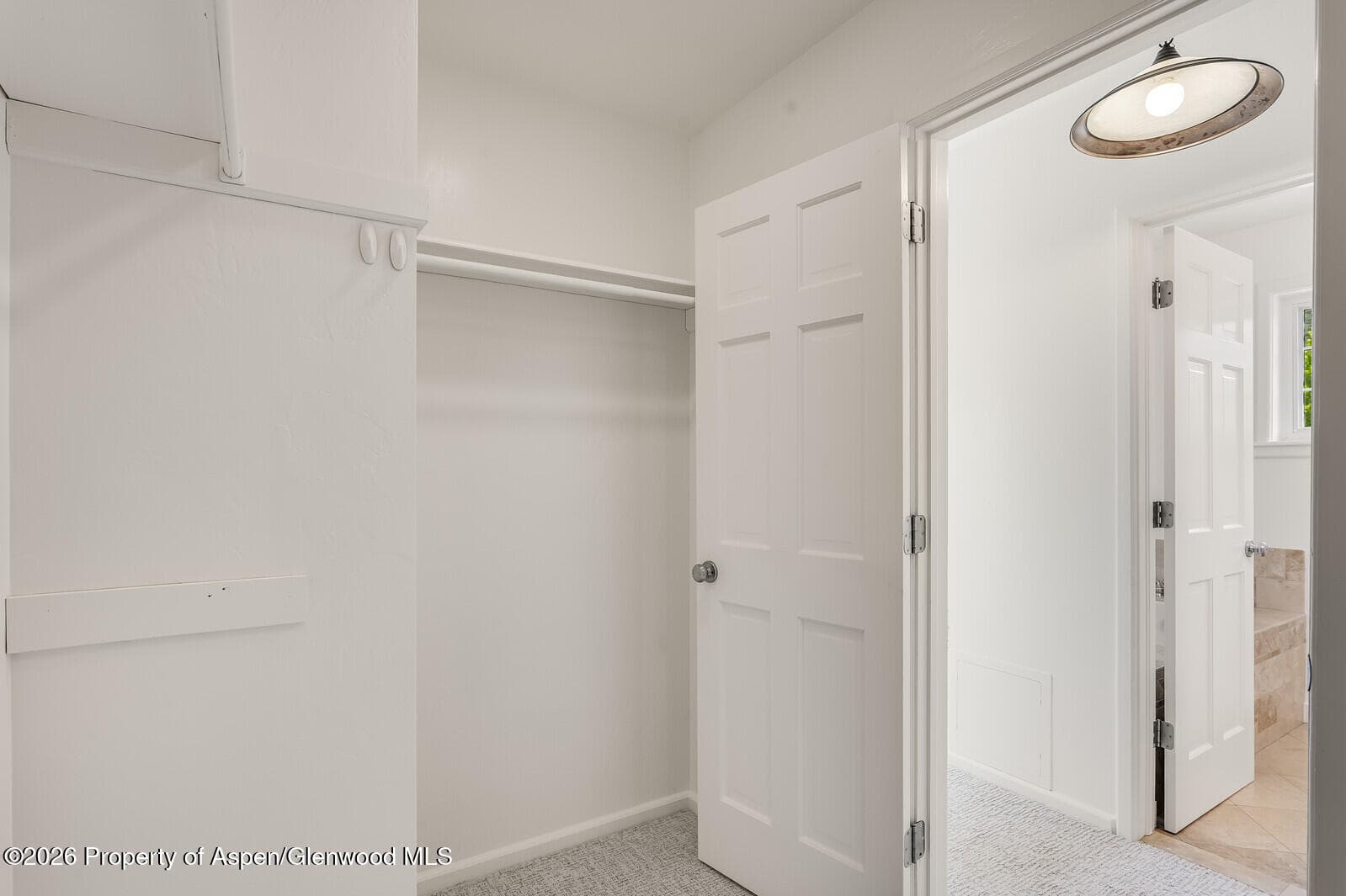 355 Meadow Drive, Basalt, CO 81621 - Photo 28