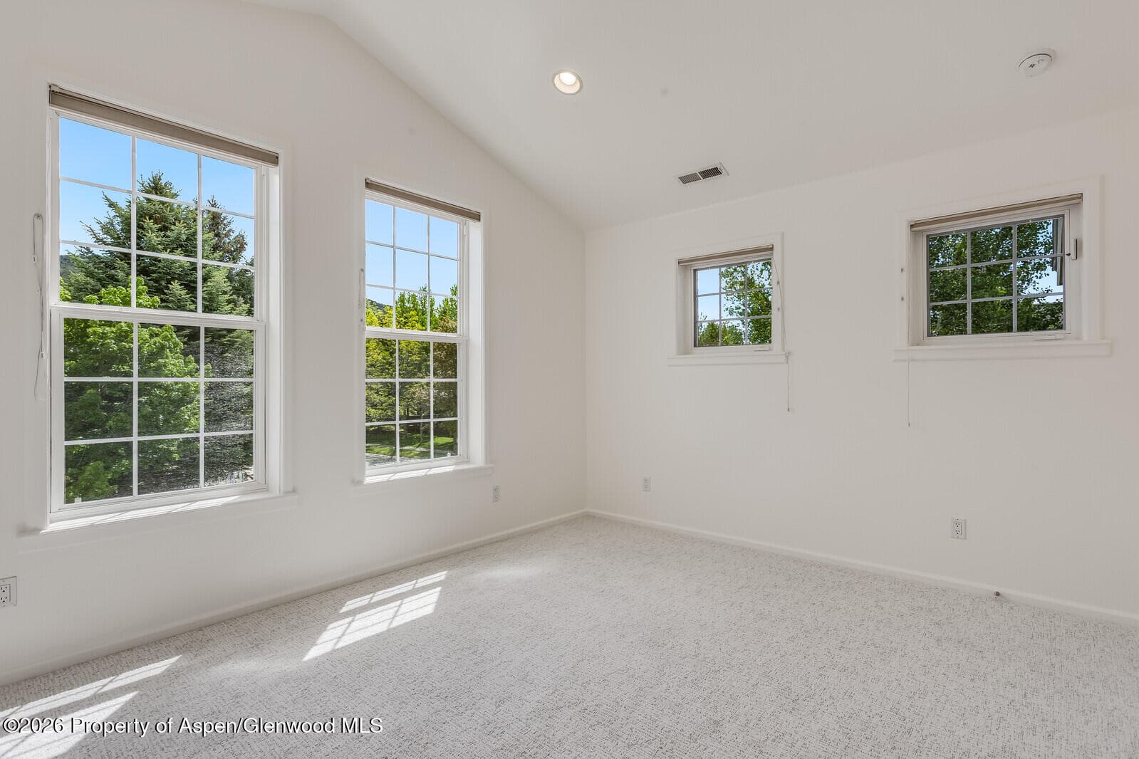 355 Meadow Drive, Basalt, CO 81621 - Photo 30