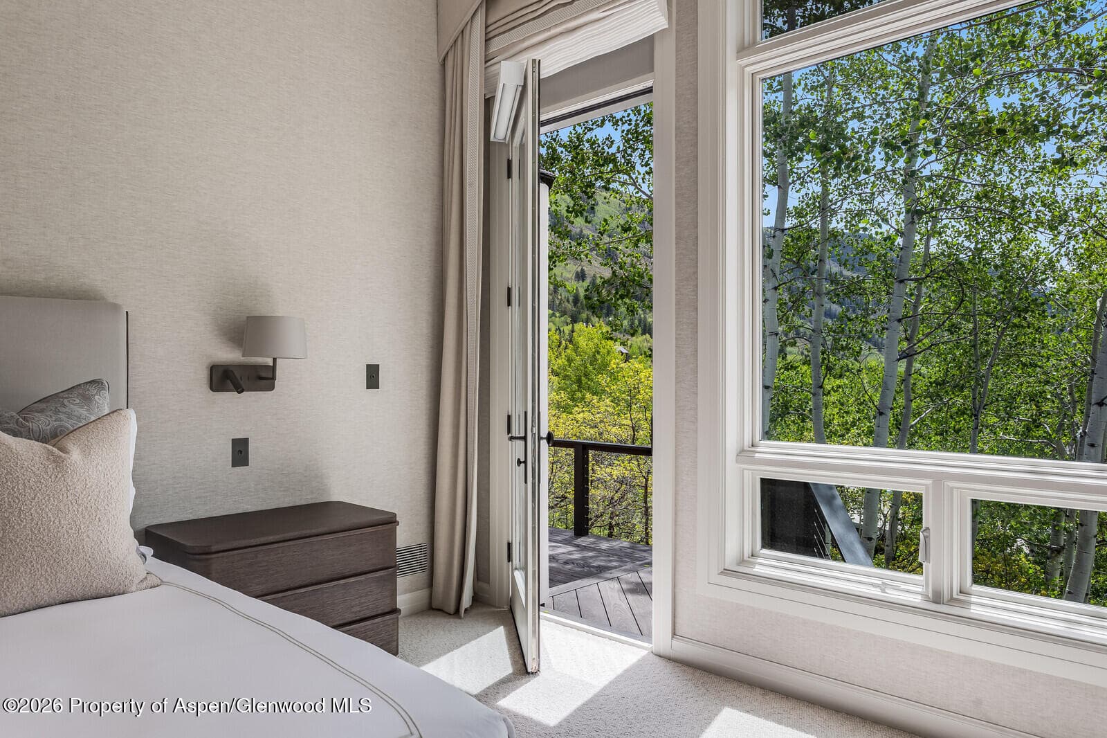 222 Roaring Fork Drive, Aspen, CO 81611 - Photo 23
