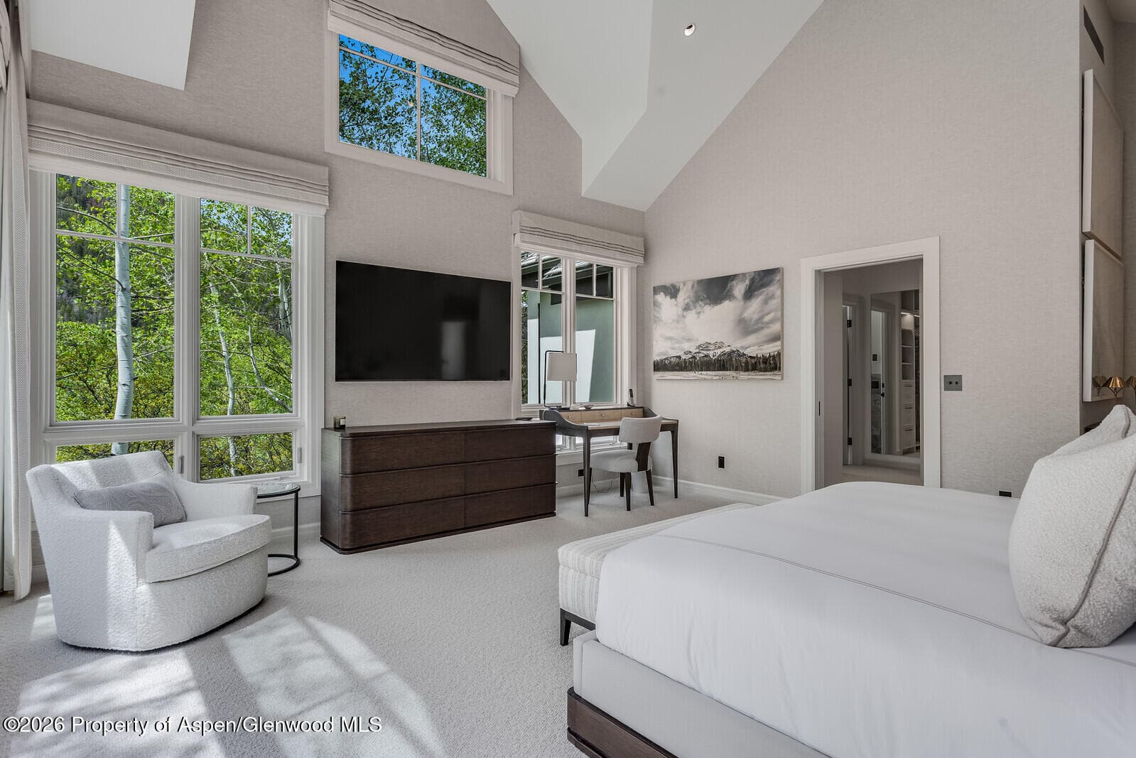 222 Roaring Fork Drive, Aspen, CO 81611 - Photo 22