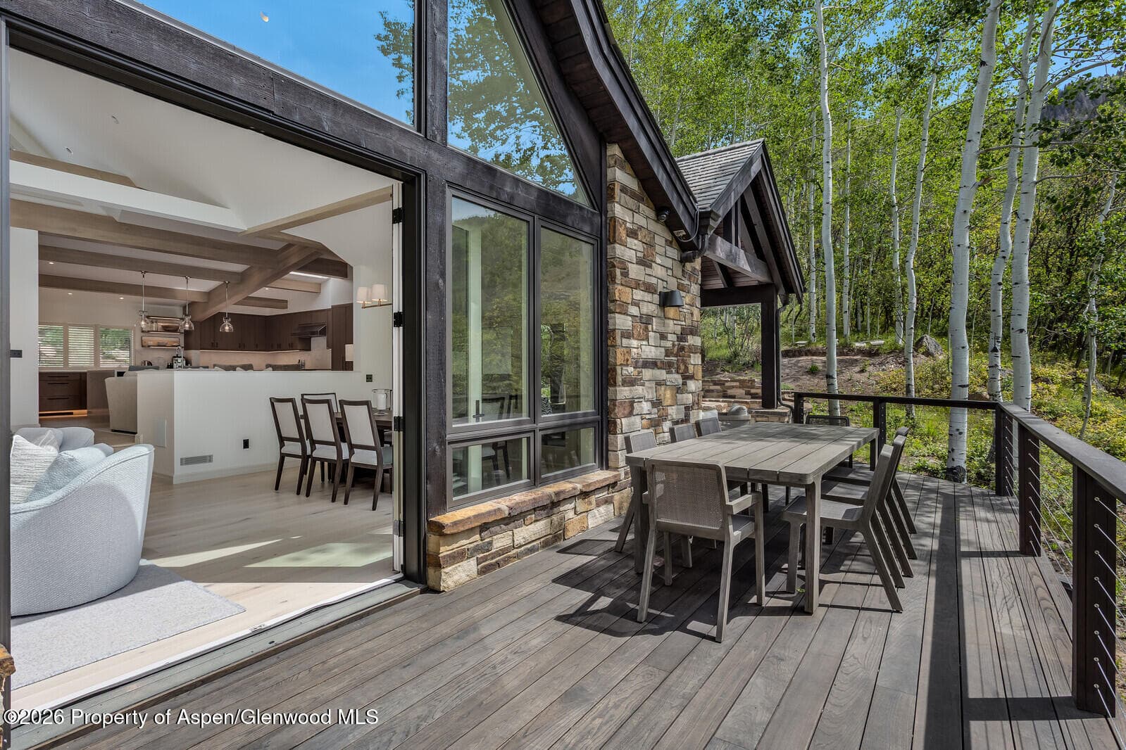 222 Roaring Fork Drive, Aspen, CO 81611 - Photo 66