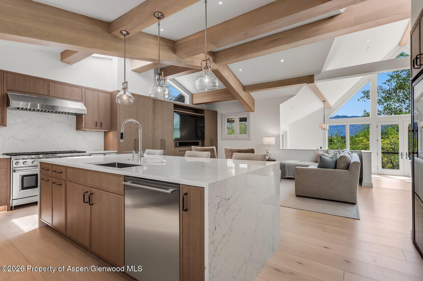222 Roaring Fork Drive, Aspen, CO 81611 - Photo 13