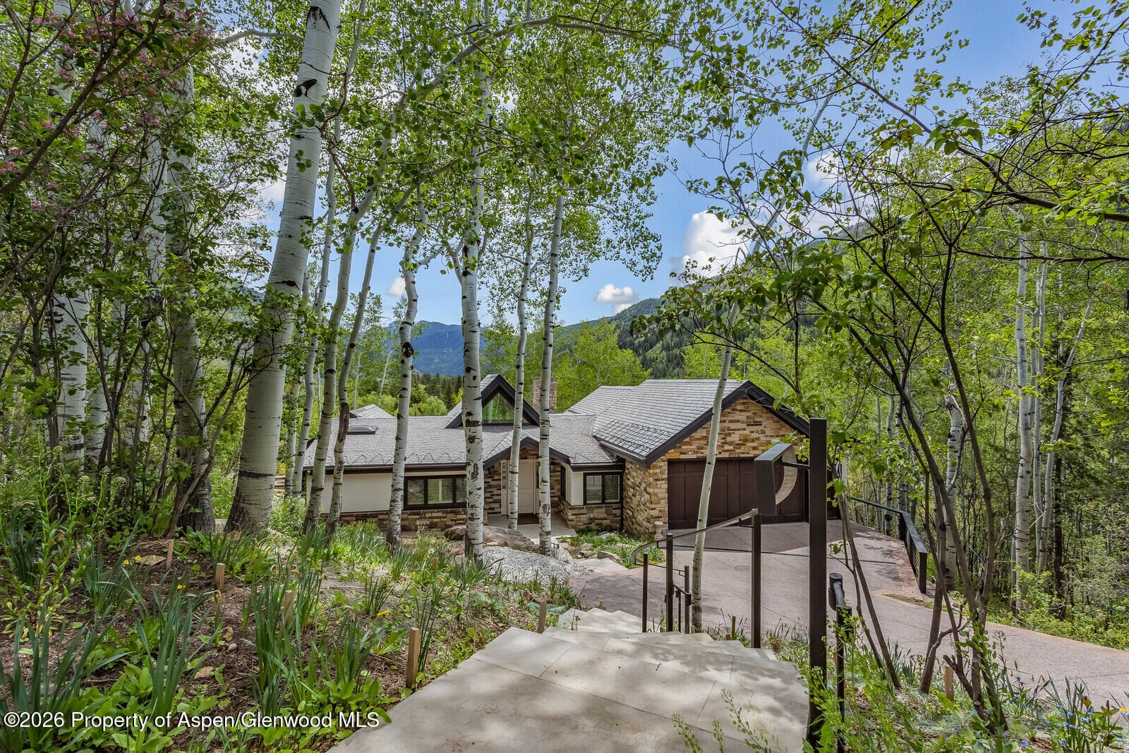 222 Roaring Fork Drive, Aspen, CO 81611 - Photo 73