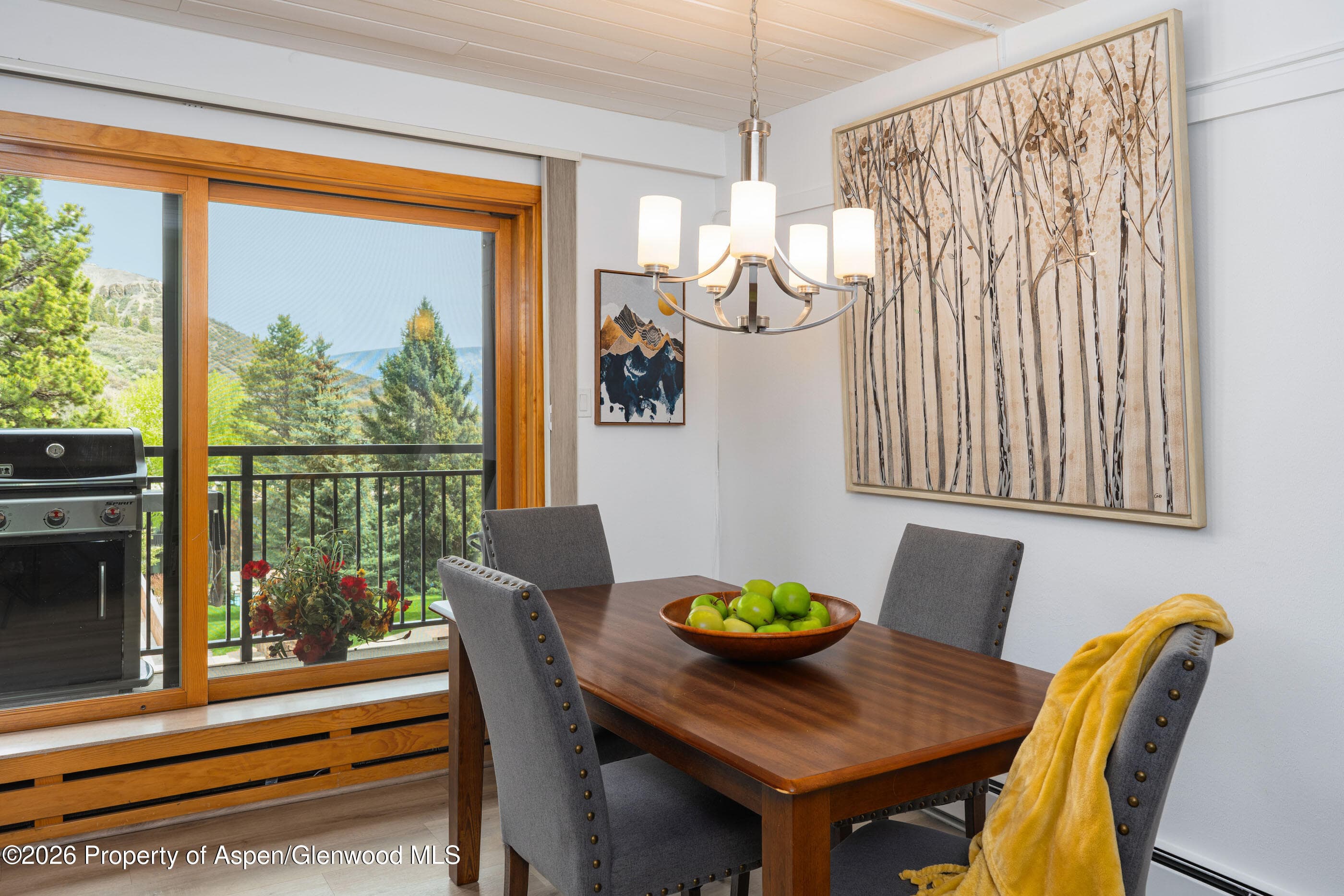 30 Anderson Lane 806, Snowmass Village, CO 81615 - Photo 9