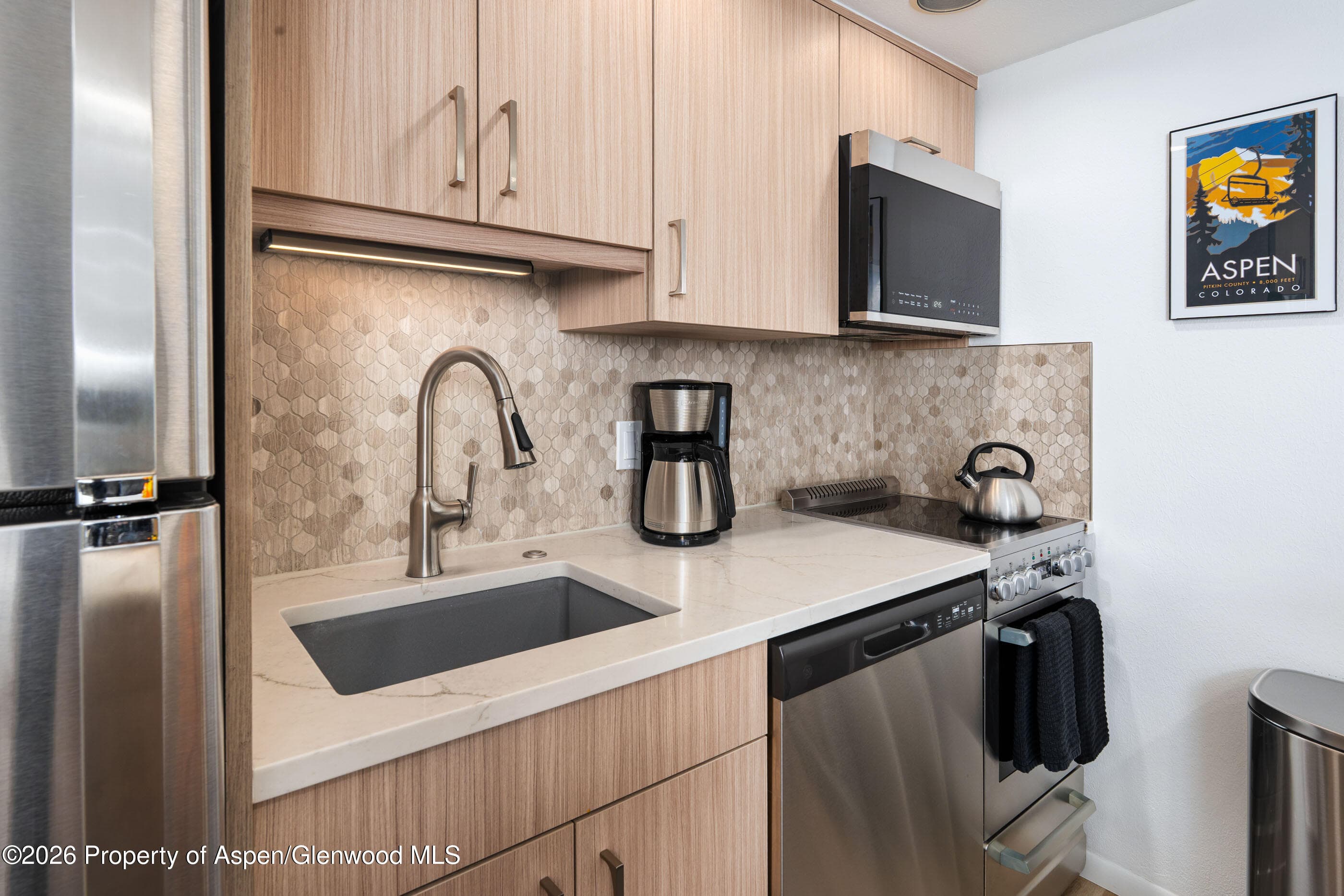 30 Anderson Lane 806, Snowmass Village, CO 81615 - Photo 6