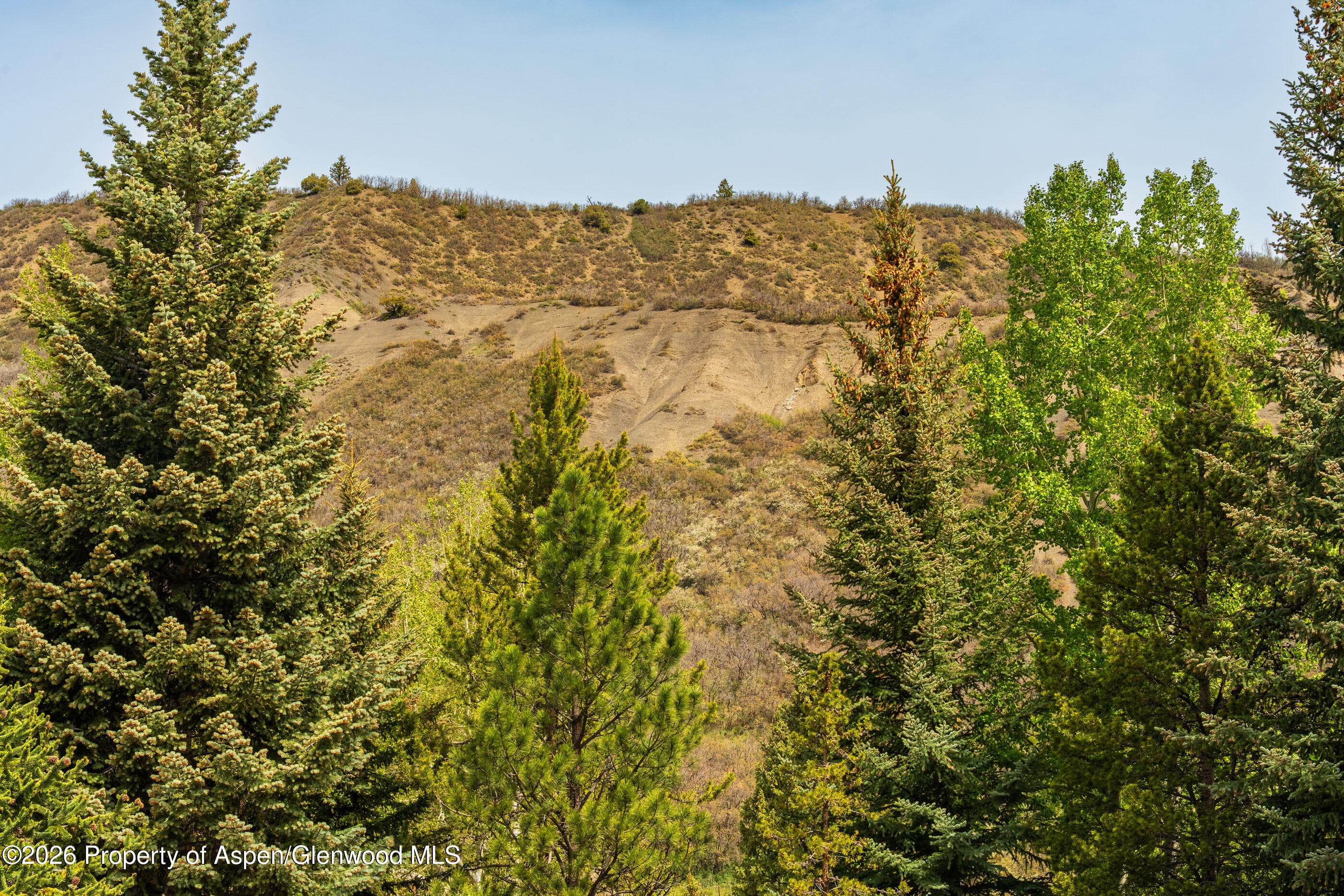30 Anderson Lane 806, Snowmass Village, CO 81615 - Photo 17