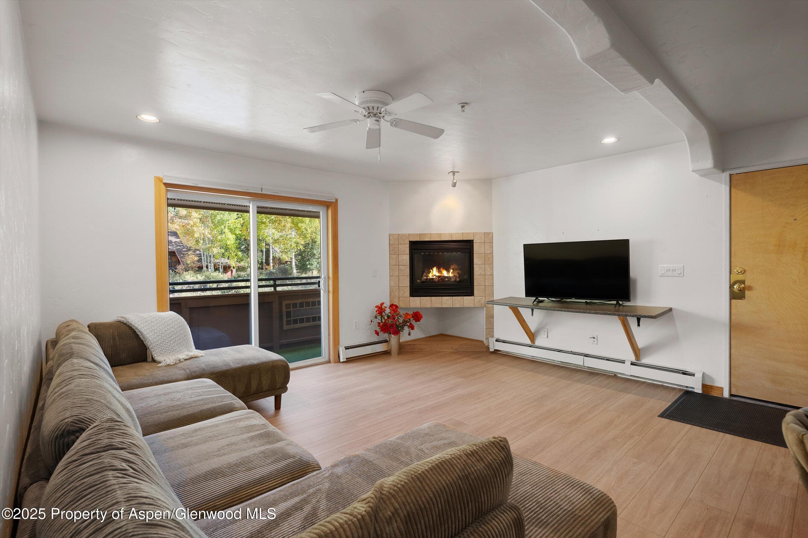 326 Midland Avenue 306, Aspen, CO 81611 - Photo 4