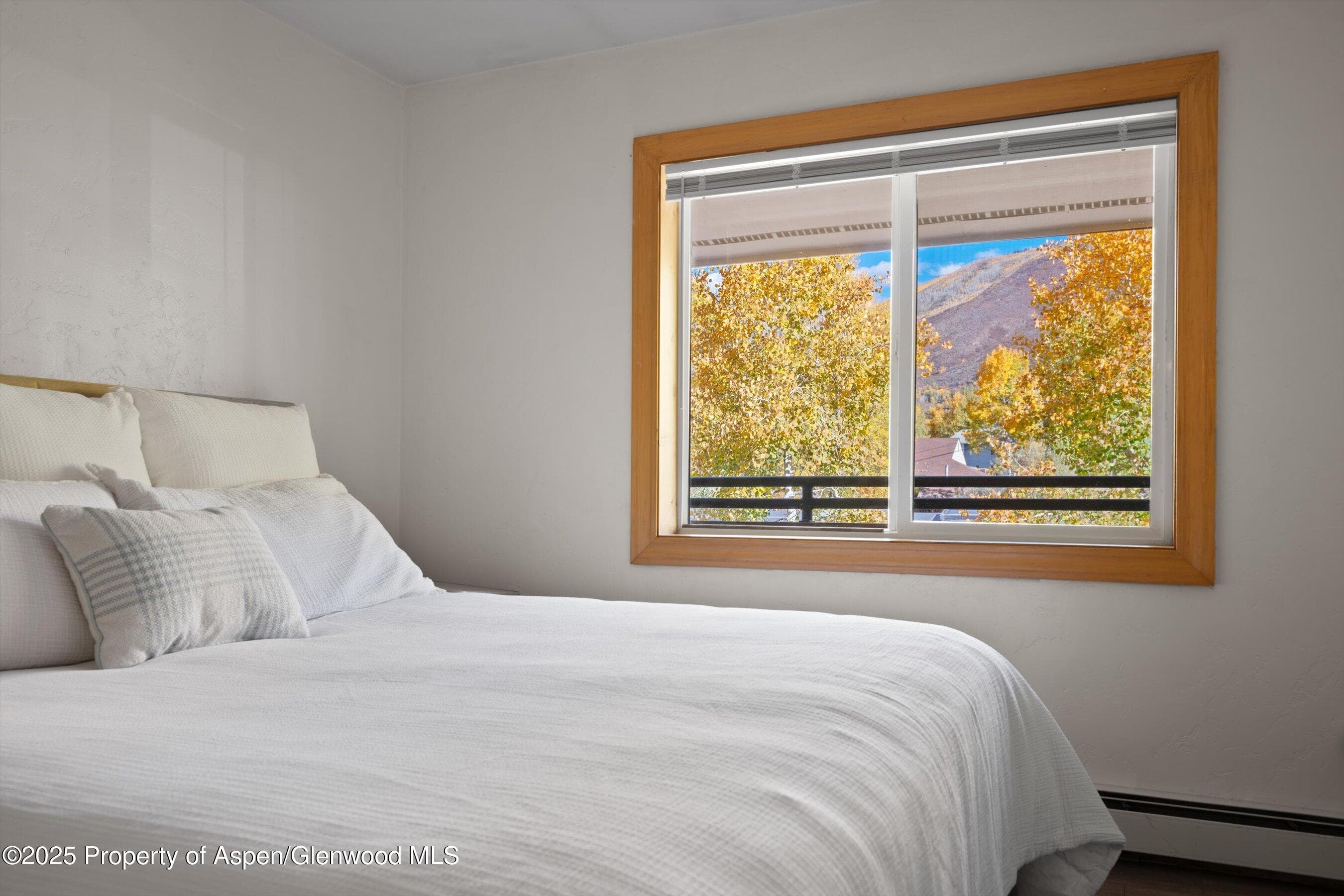 326 Midland Avenue 306, Aspen, CO 81611 - Photo 6