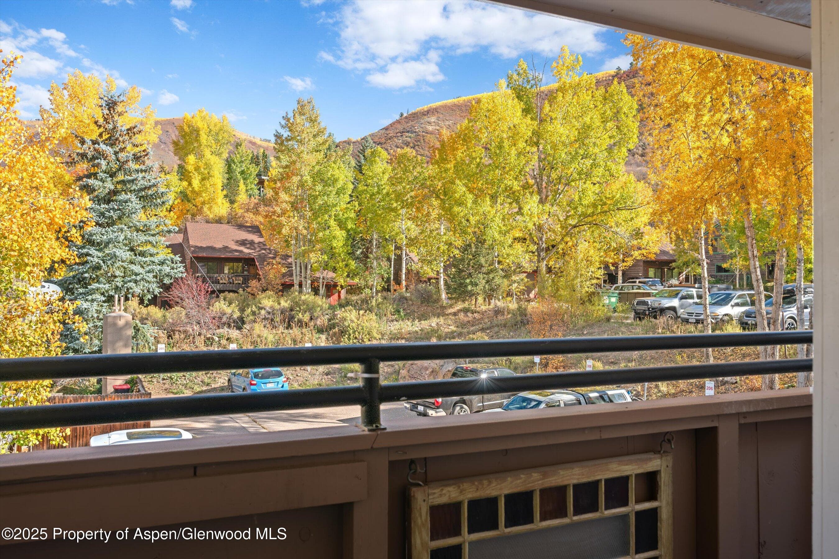 326 Midland Avenue 306, Aspen, CO 81611 - Photo 13