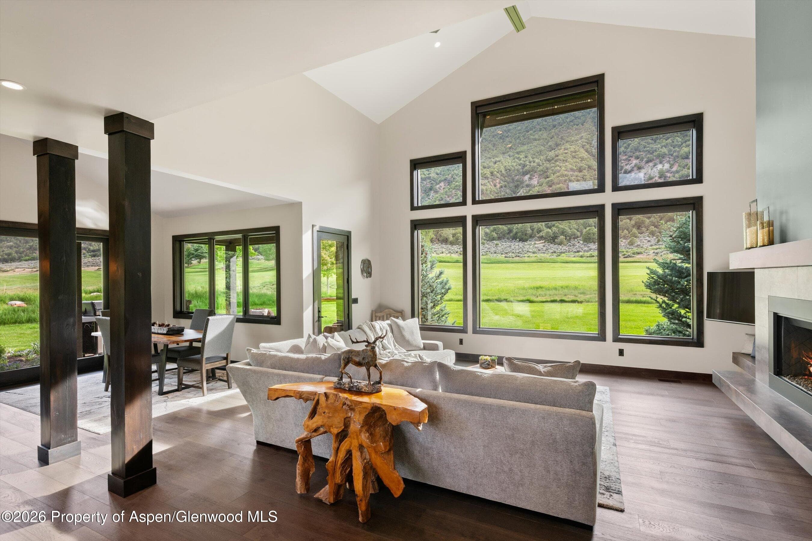 285 Saddleback Road, Carbondale, CO 81623 - Photo 3