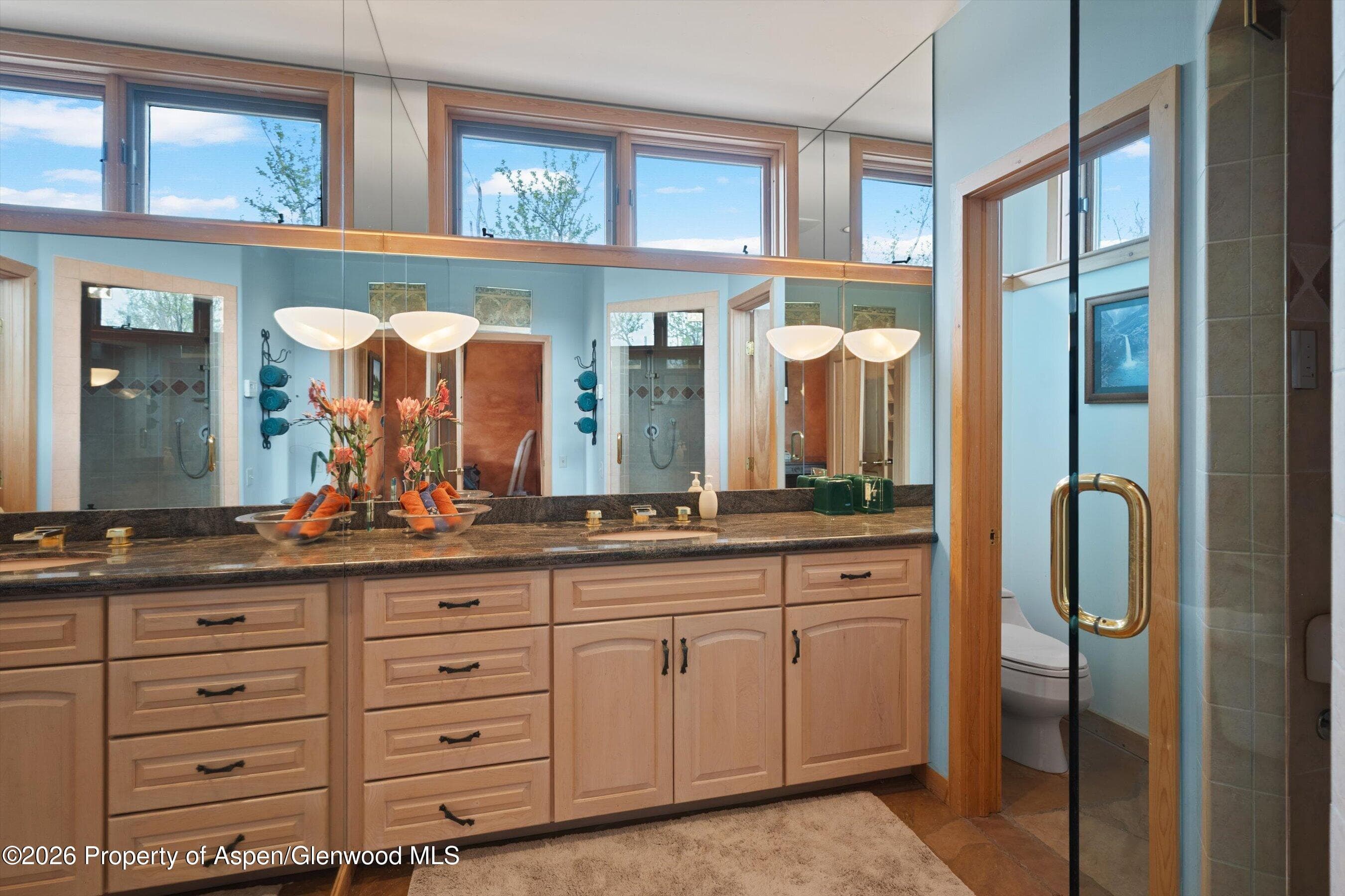 115 Rural Mountain Way, Snowmass, CO 81654 - Photo 19