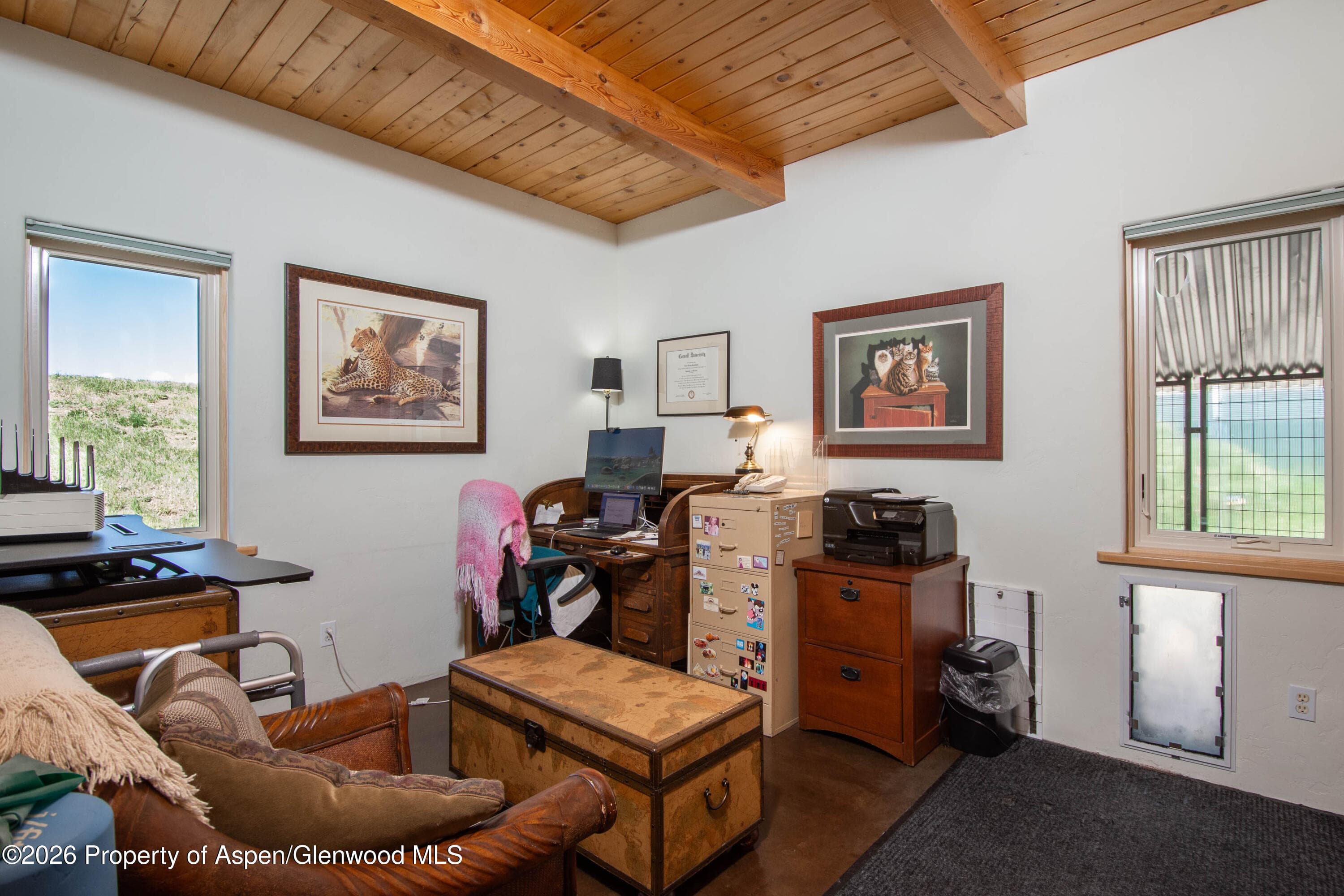 208 Grange Lane, Carbondale, CO 81623 - Photo 19
