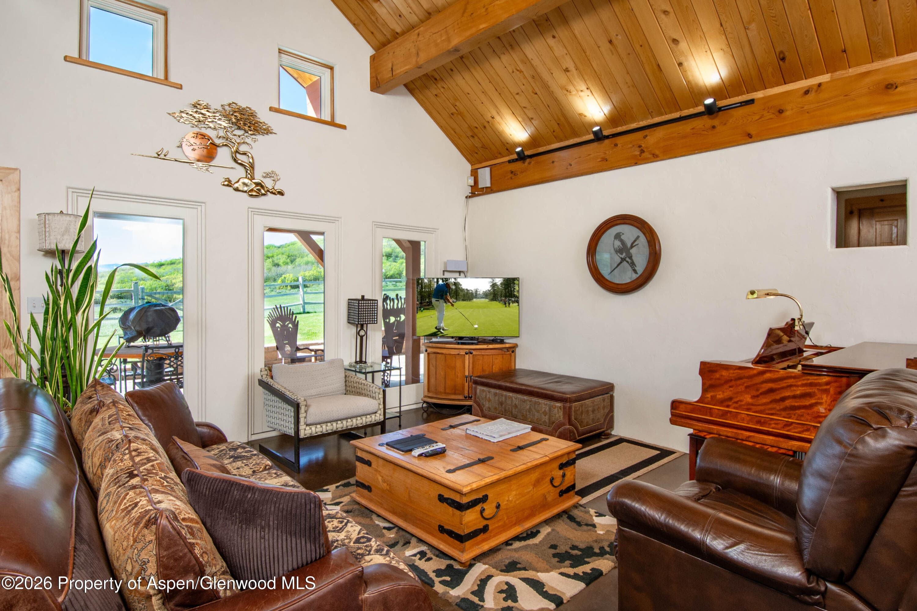 208 Grange Lane, Carbondale, CO 81623 - Photo 8