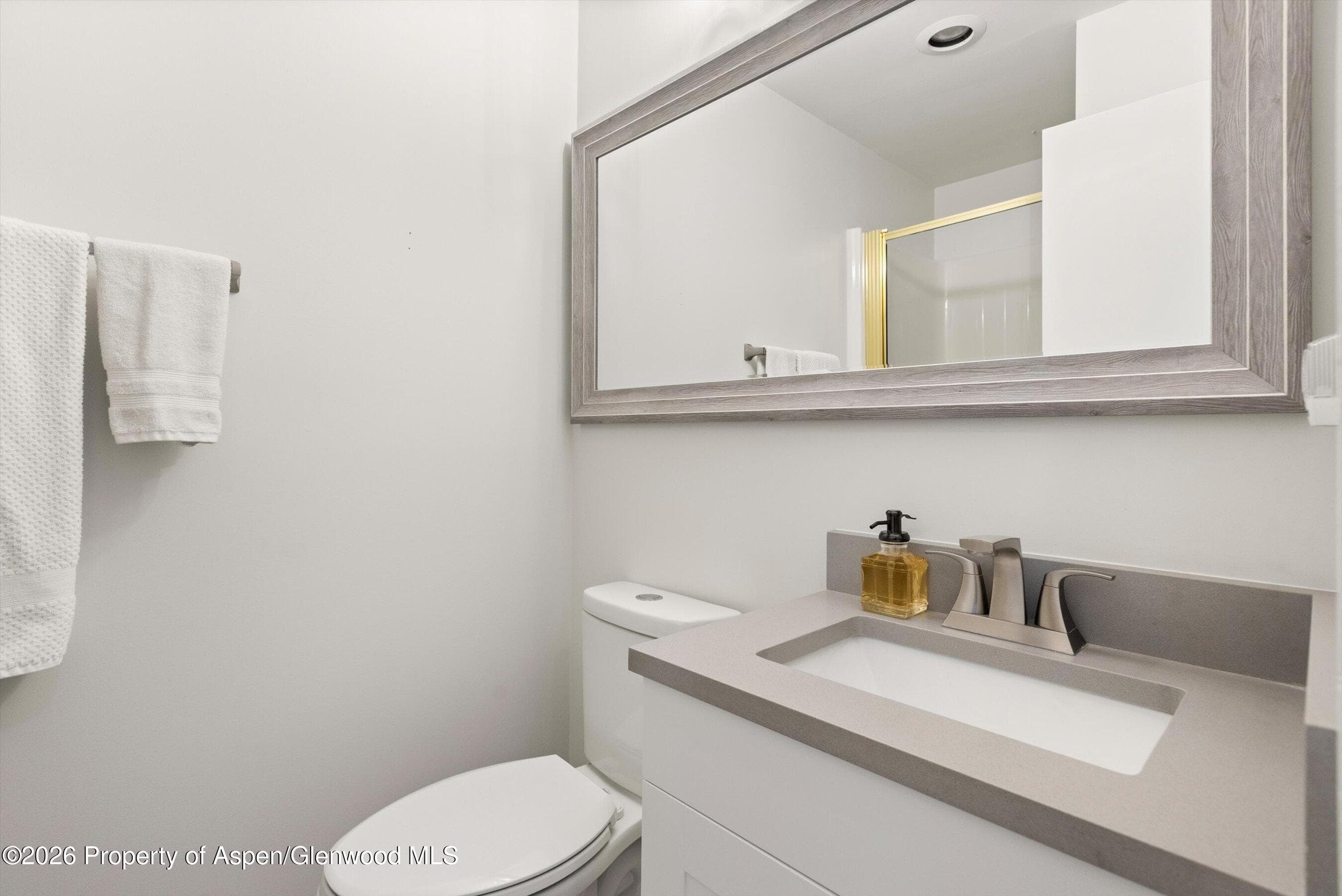100 E Dean Street 1d, Aspen, CO 81611 - Photo 16