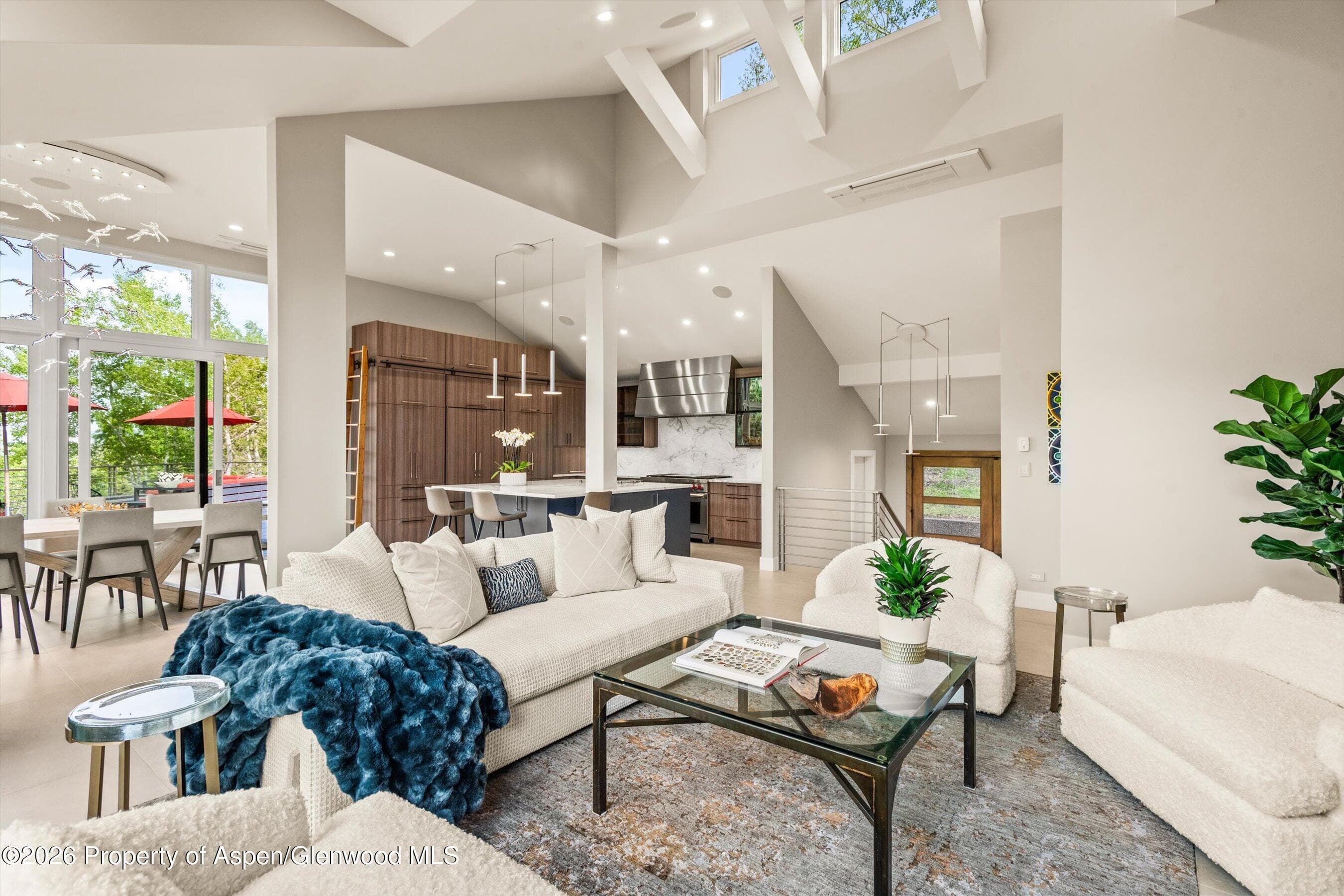 552 Mountain Laurel Drive, Aspen, CO 81611 - Photo 8