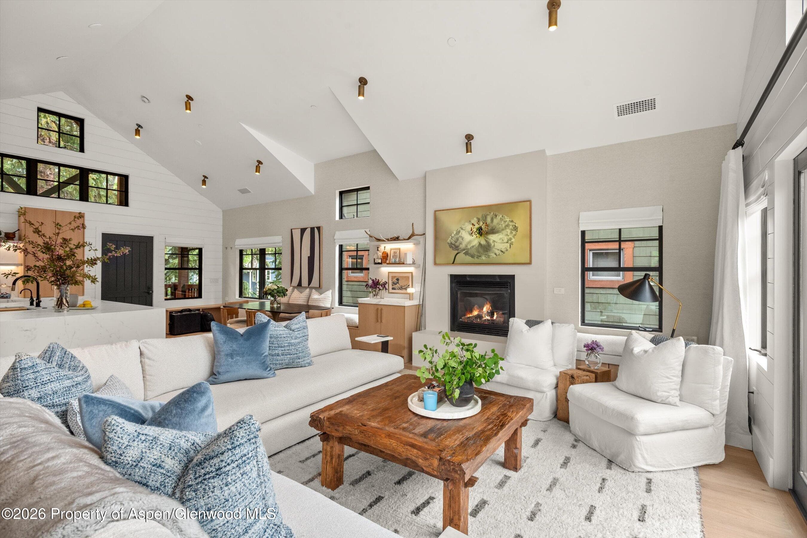507 W Main Street C-201, Aspen, CO 81611 - Photo 7
