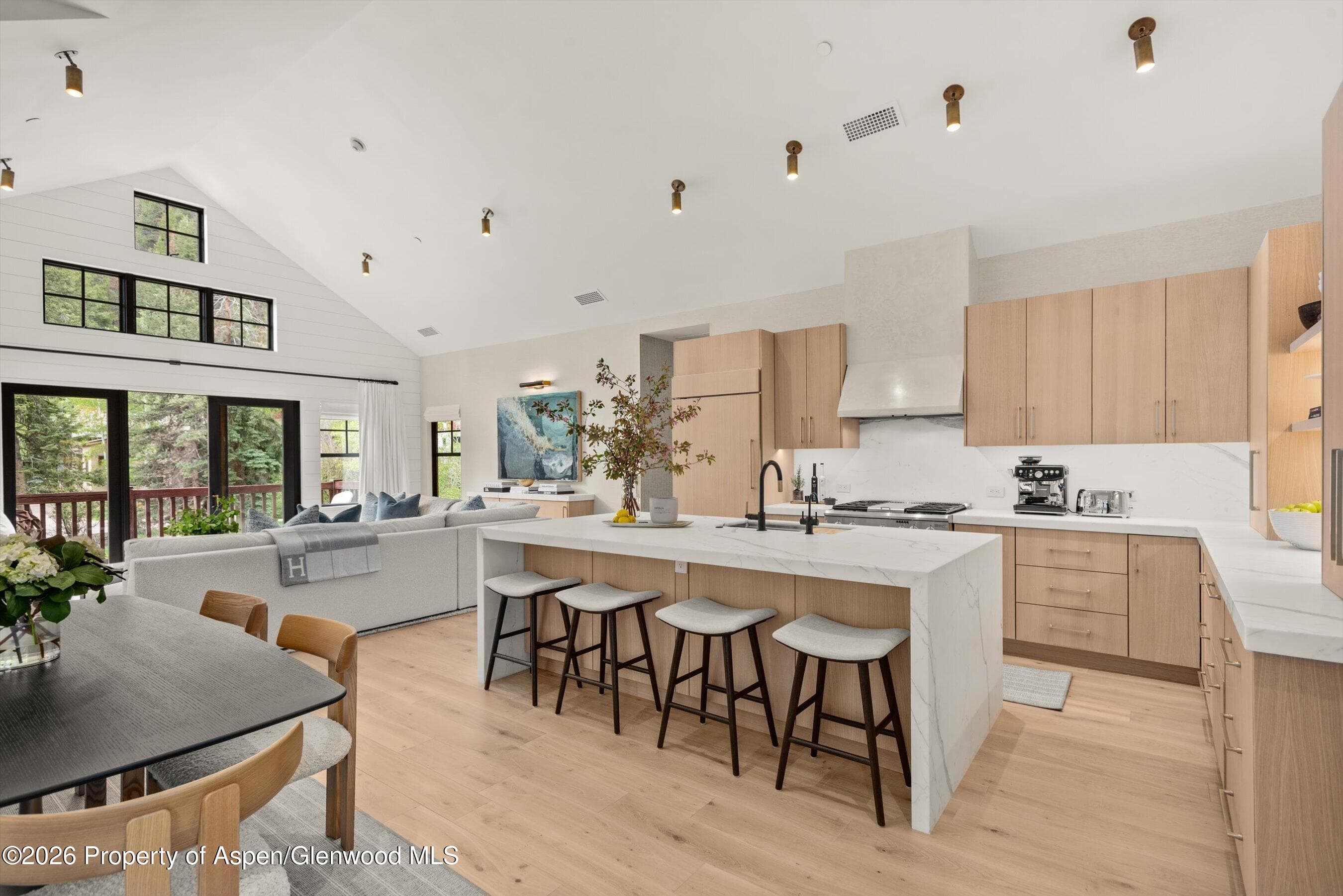 507 W Main Street C-201, Aspen, CO 81611 - Photo 17