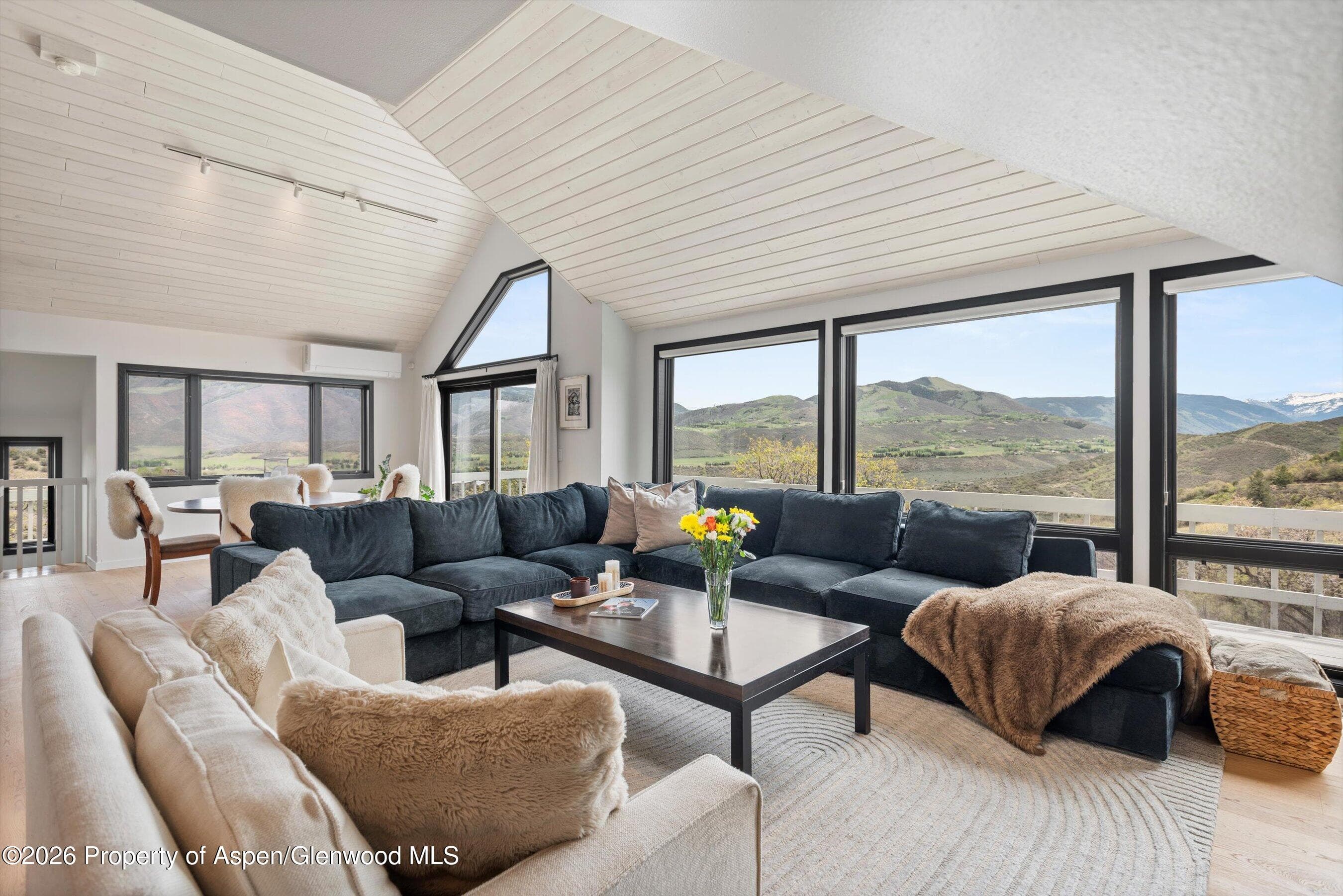 450 Solar Way, Aspen, CO 81611 - Photo 3