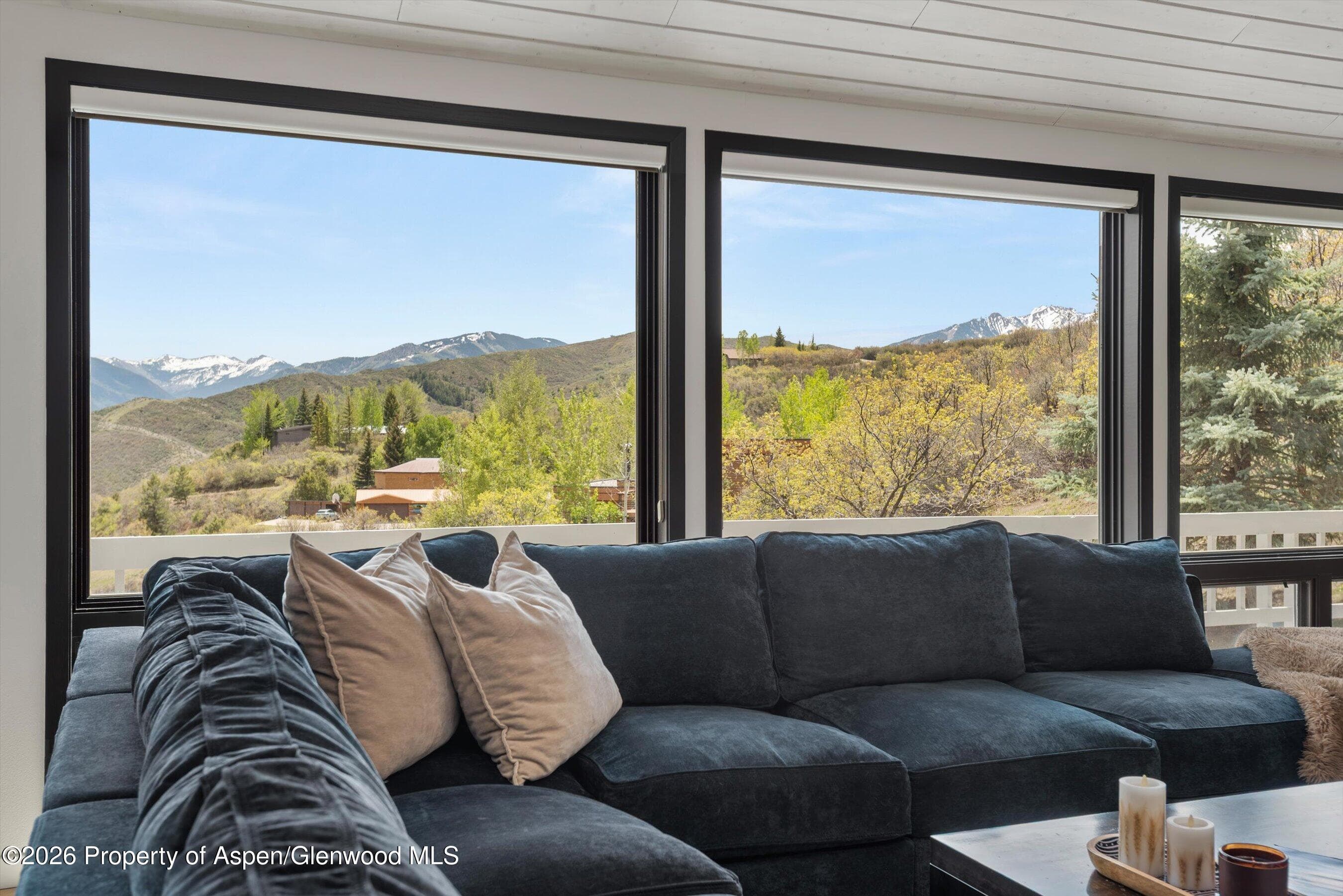 450 Solar Way, Aspen, CO 81611 - Photo 5