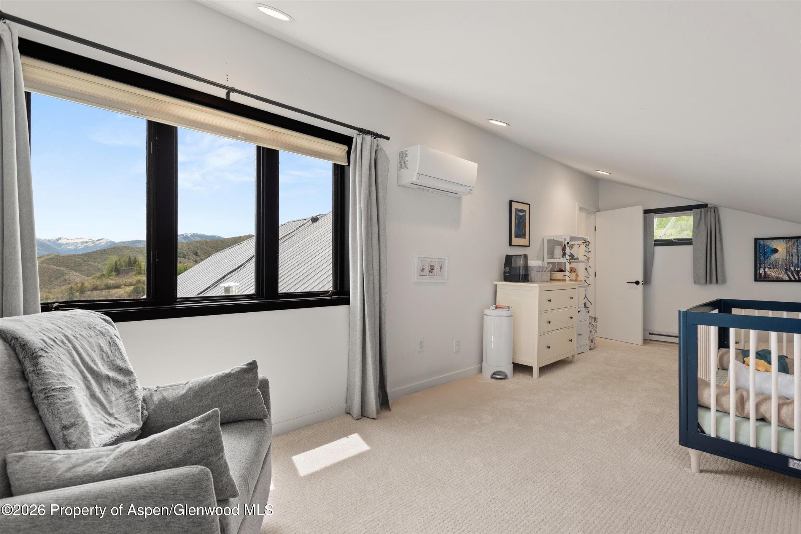 450 Solar Way, Aspen, CO 81611 - Photo 29