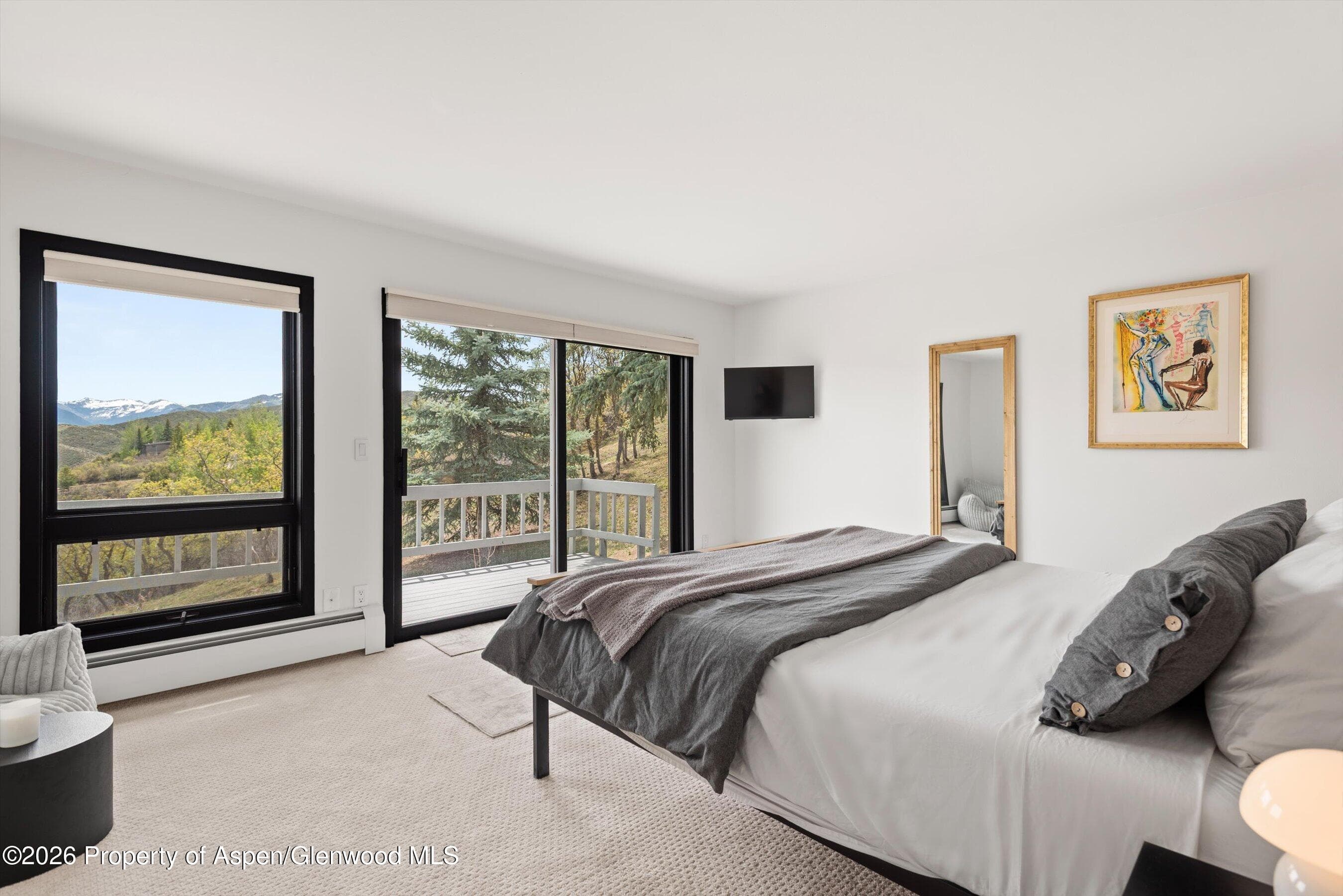 450 Solar Way, Aspen, CO 81611 - Photo 30