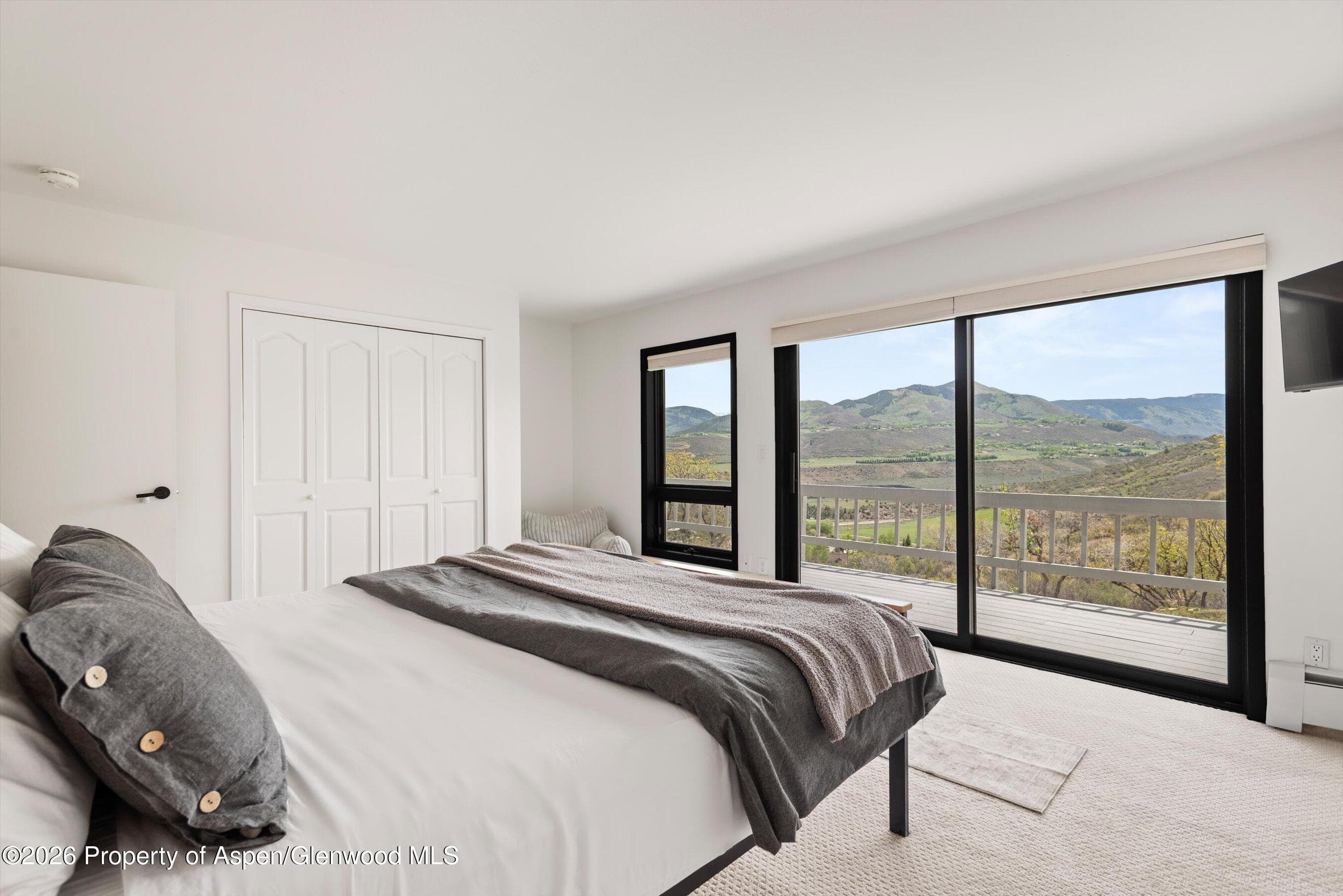 450 Solar Way, Aspen, CO 81611 - Photo 31