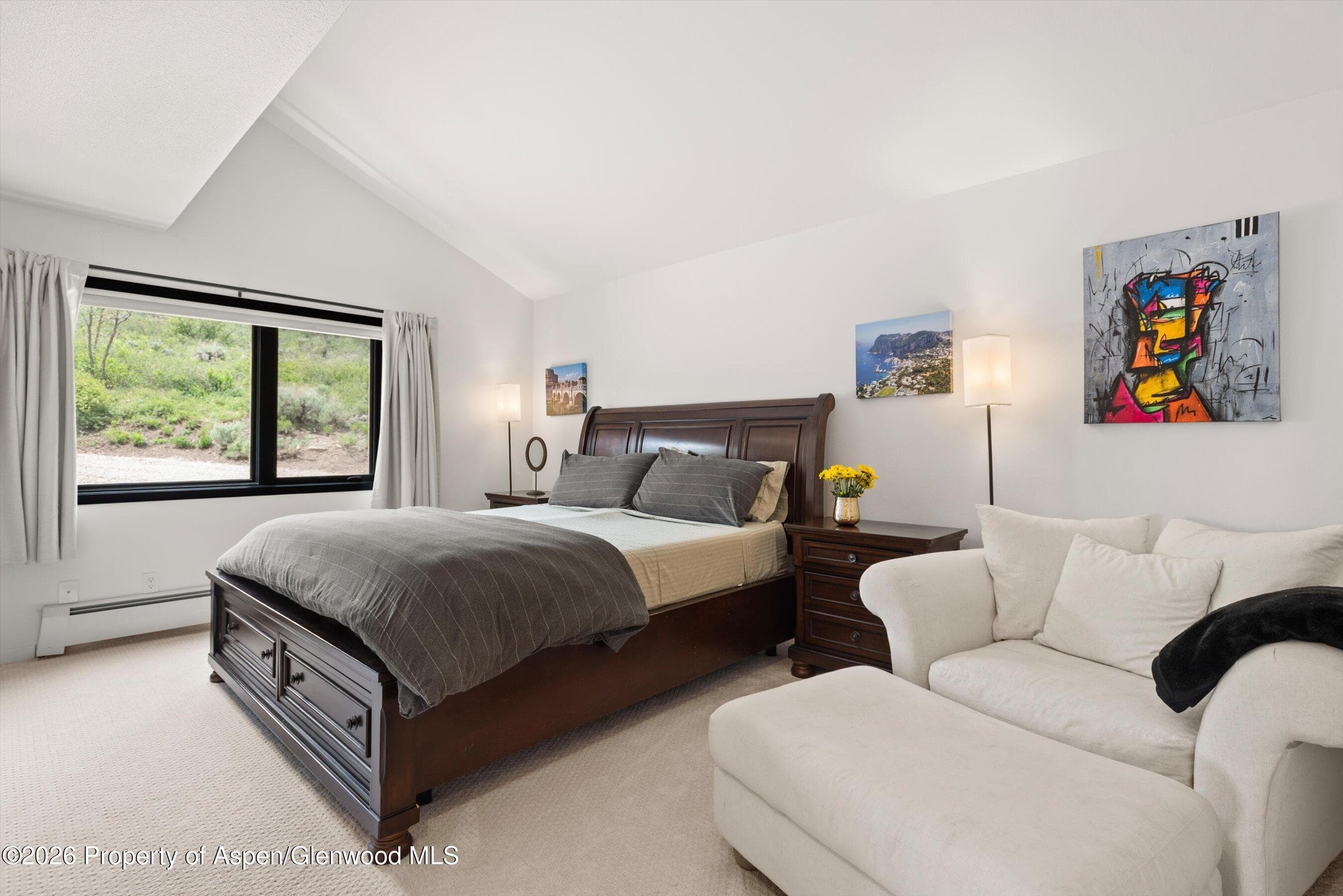 450 Solar Way, Aspen, CO 81611 - Photo 33